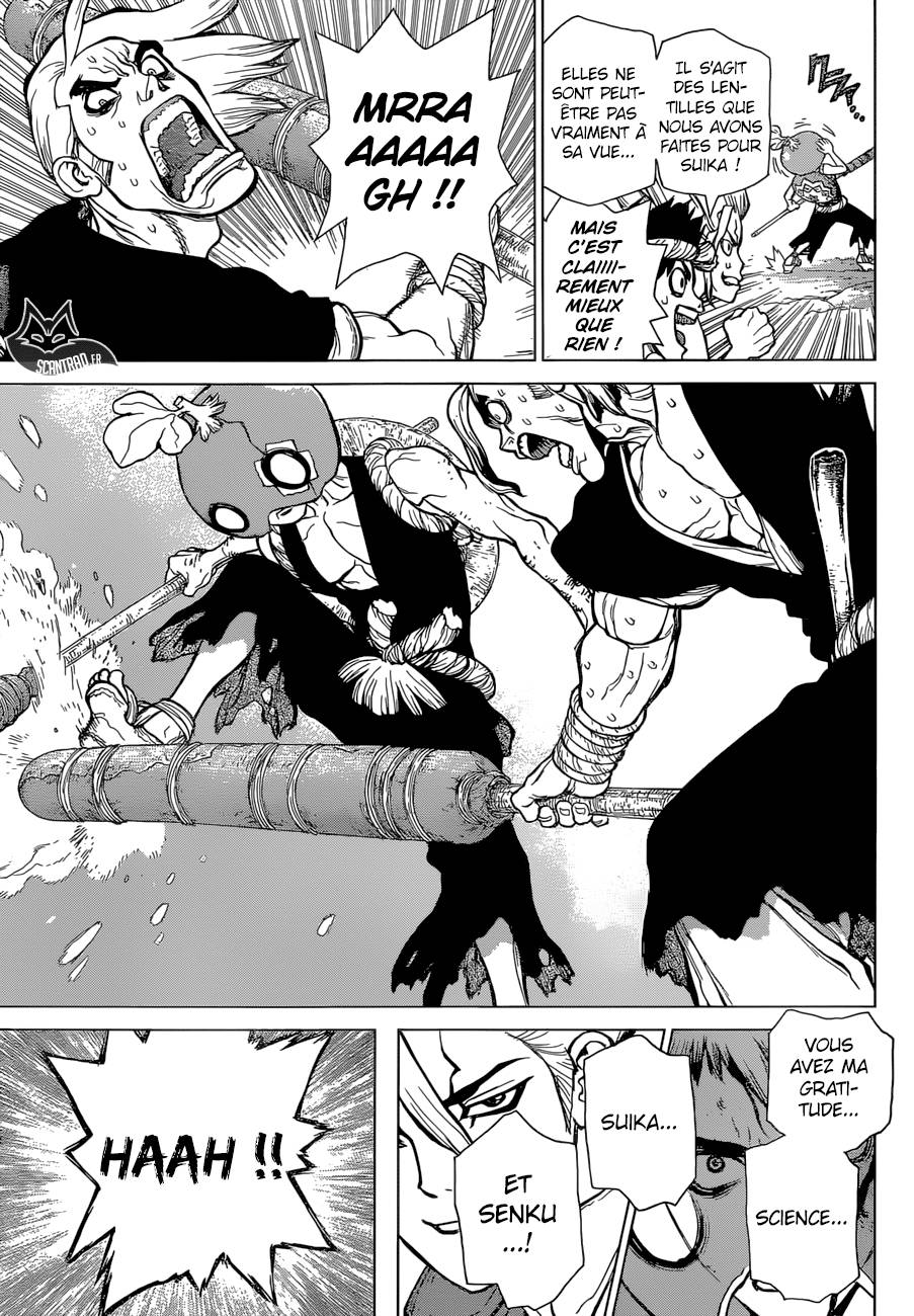Lecture en ligne Dr Stone 35 page 17