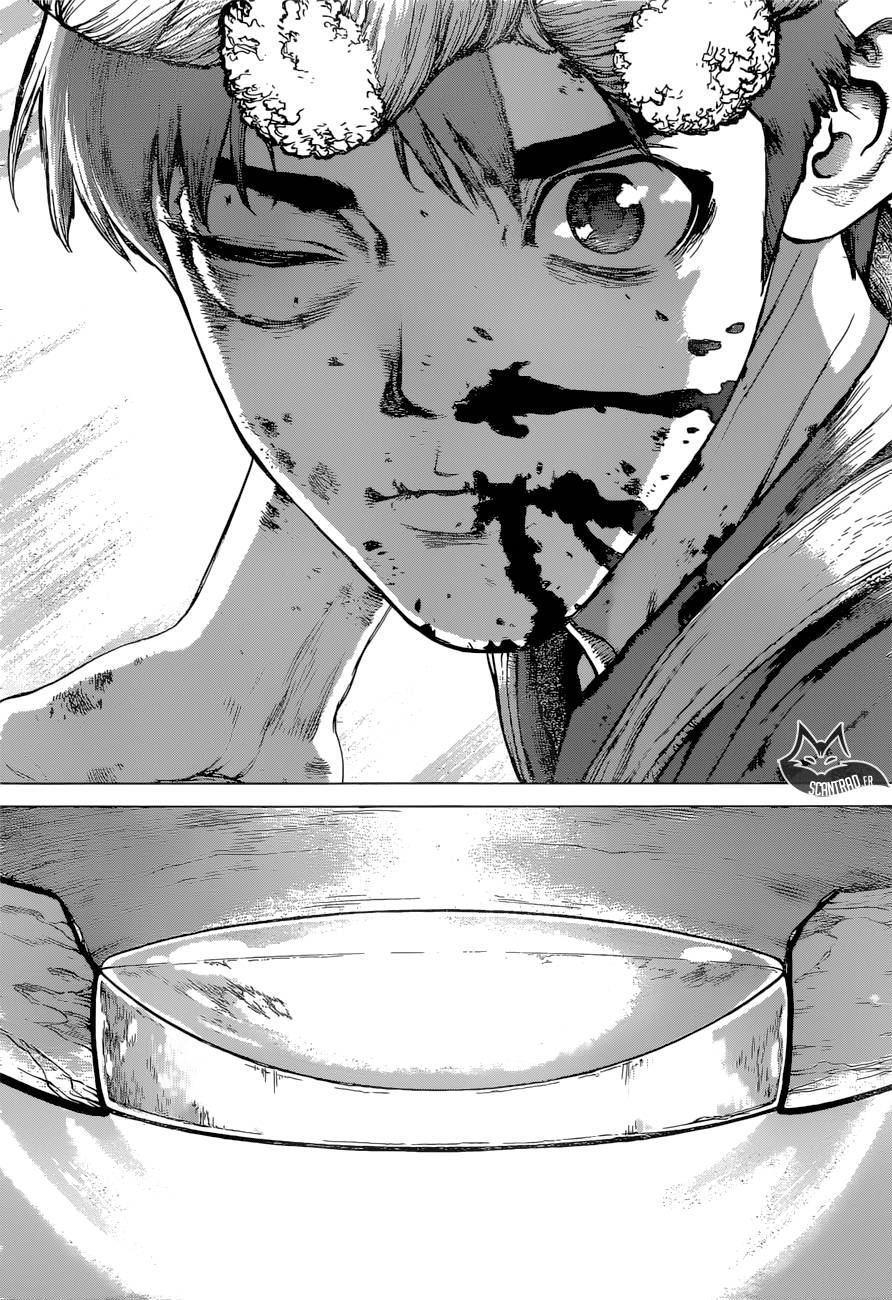 Lecture en ligne Dr Stone 38 page 15