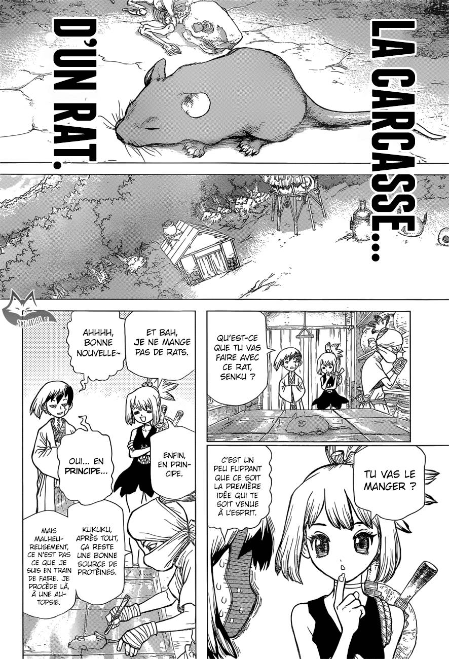 Lecture en ligne Dr Stone 41 page 5