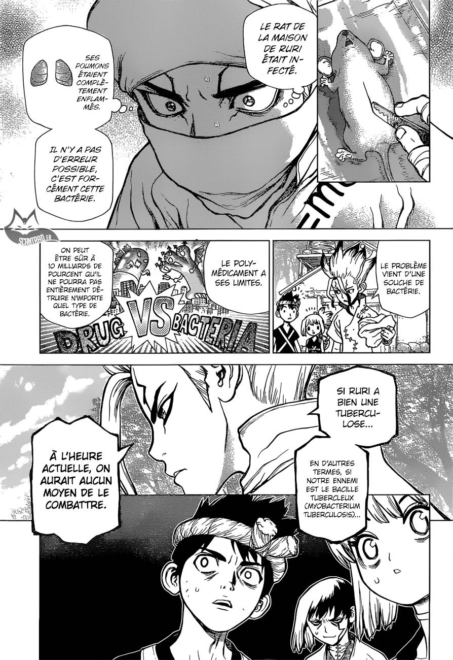 Lecture en ligne Dr Stone 41 page 6