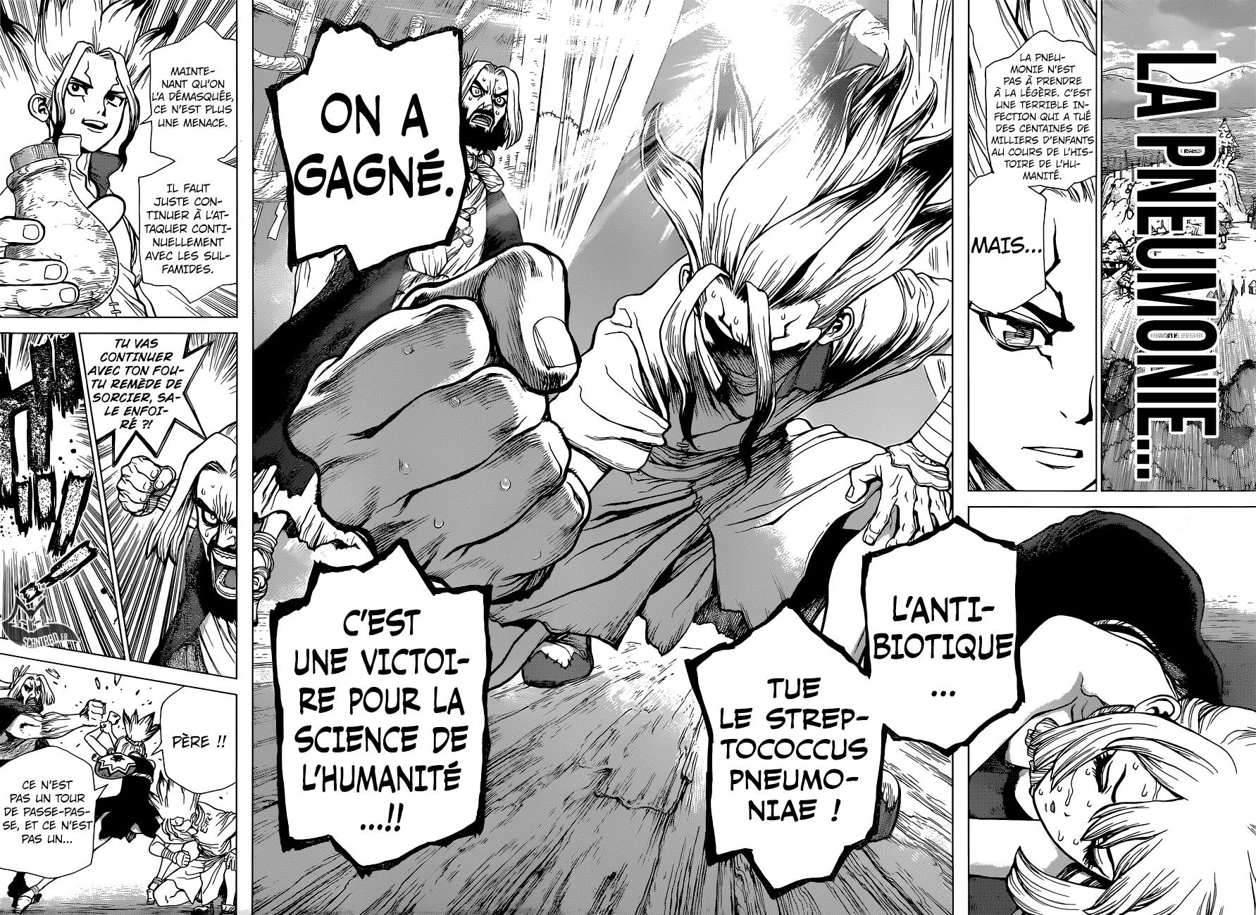 Lecture en ligne Dr Stone 41 page 11