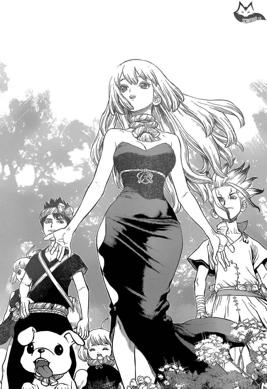 Lecture en ligne Dr Stone 41 page 15