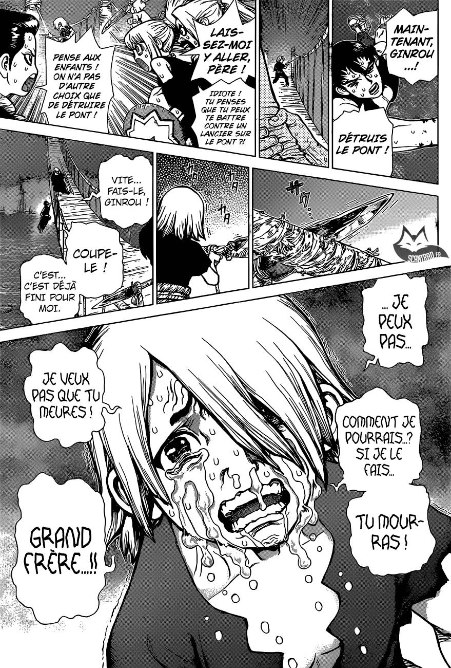 Lecture en ligne Dr Stone 46 page 13