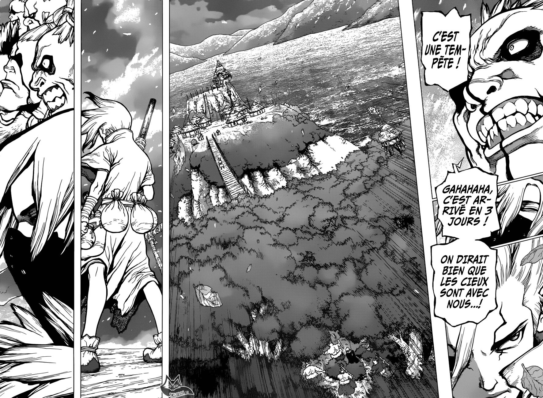 Lecture en ligne Dr Stone 47 page 13