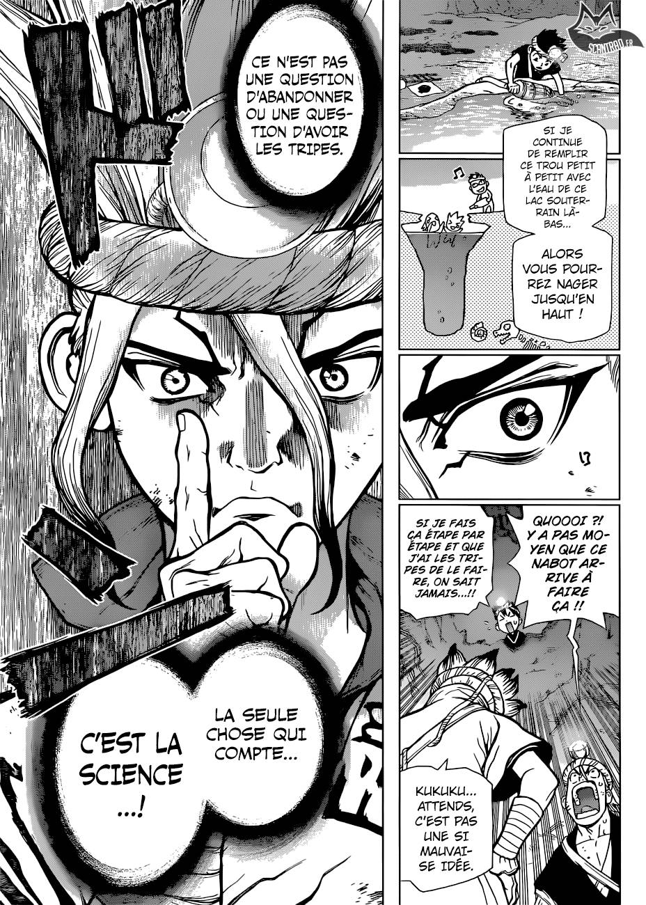 Lecture en ligne Dr Stone 55 page 14