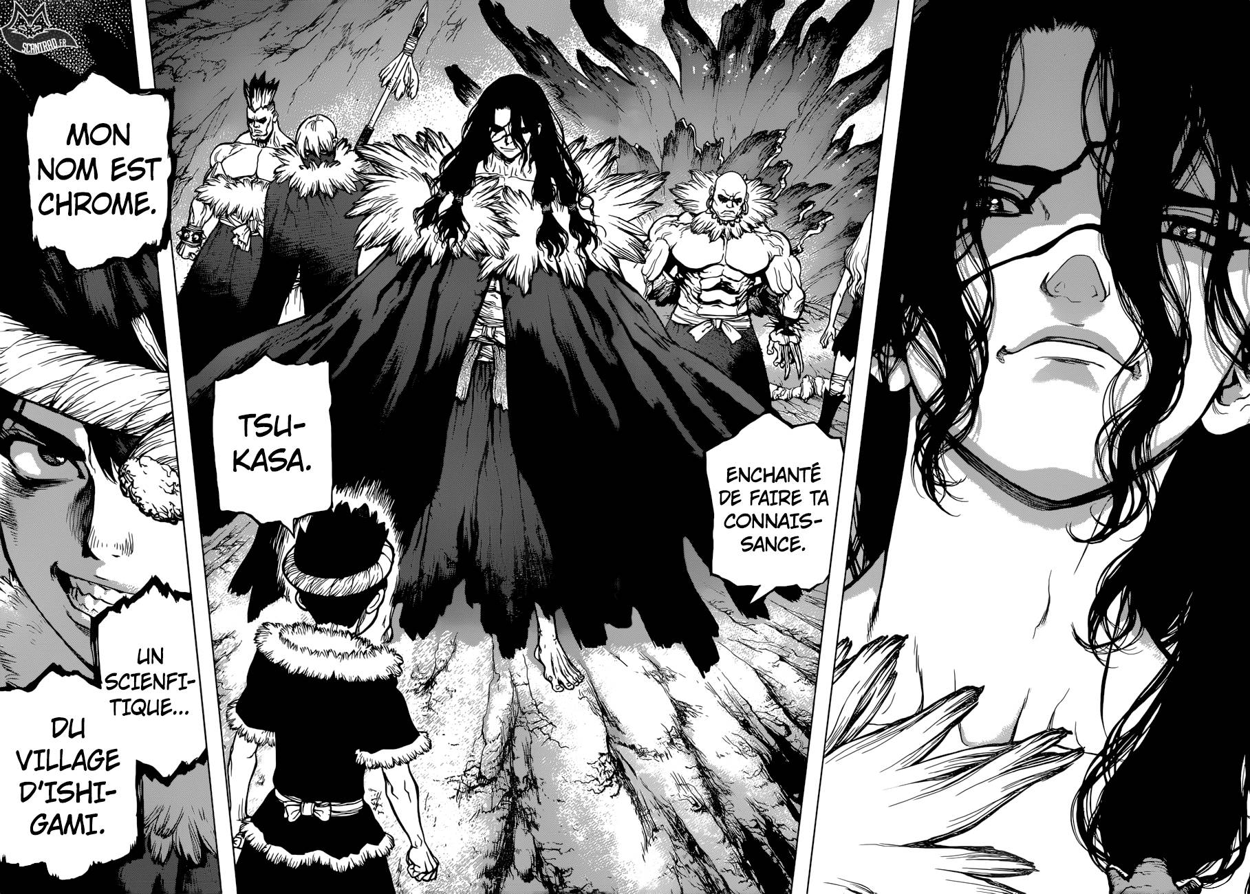 Lecture en ligne Dr Stone 67 page 13