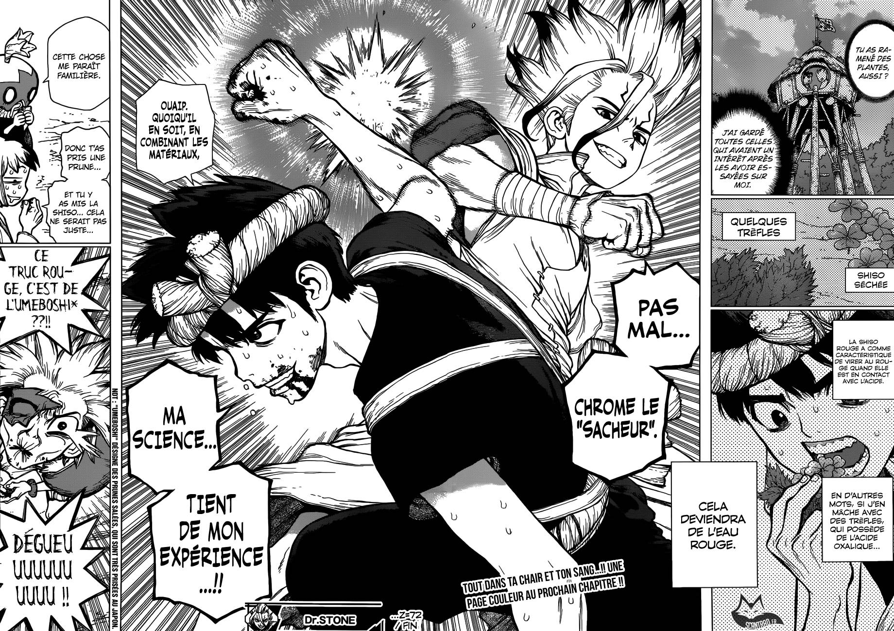 lecture en ligne Dr Stone 72 page 18