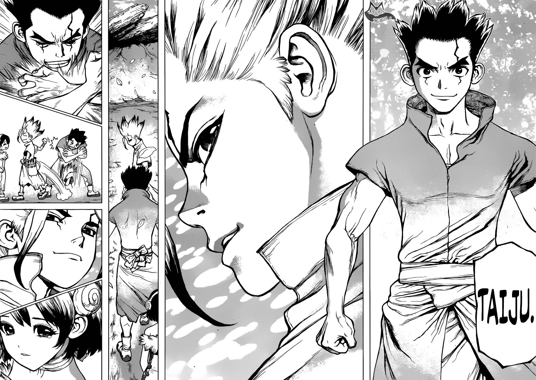 Lecture en ligne Dr Stone 74 page 13