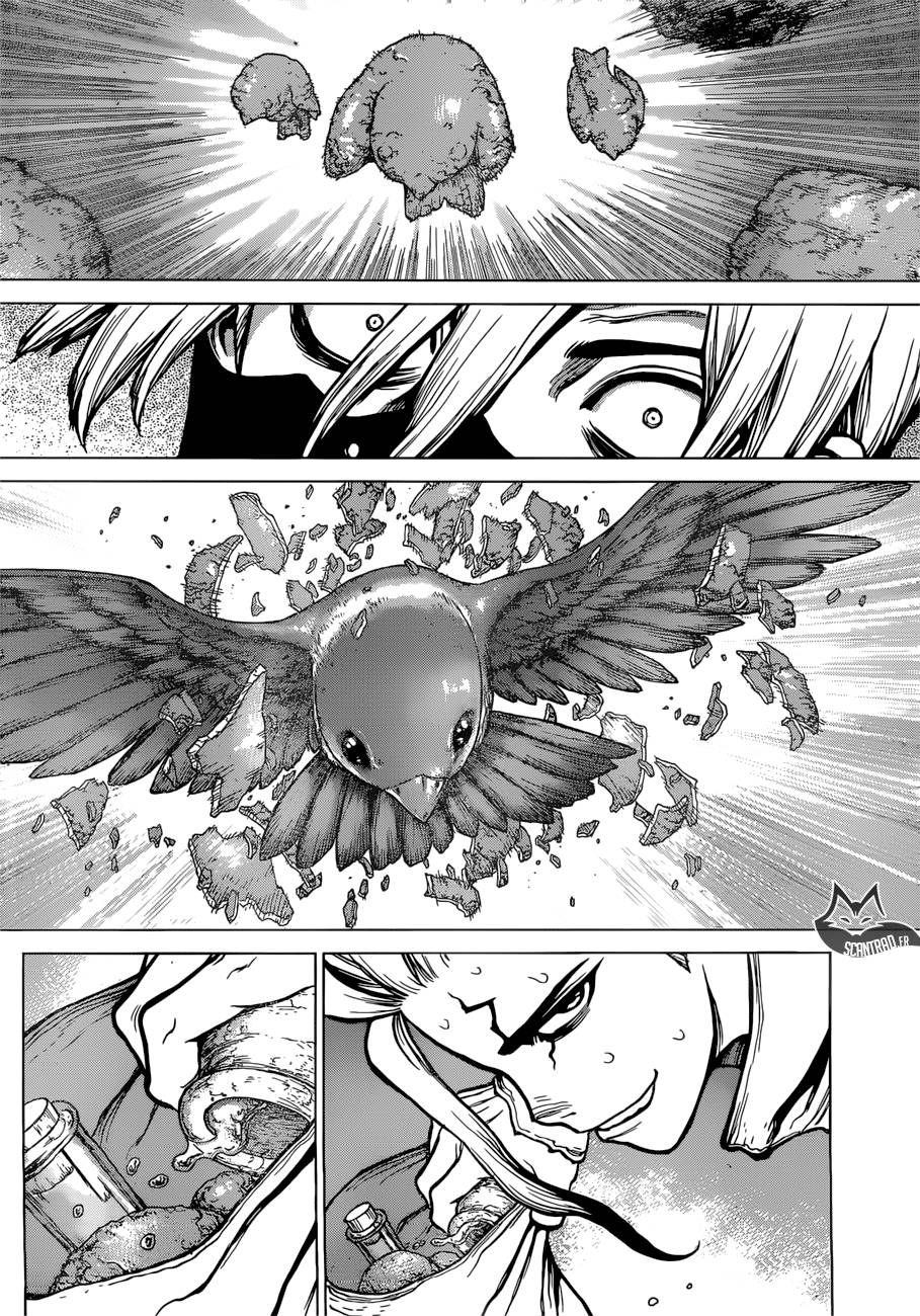 Lecture en ligne Dr Stone 80 page 15