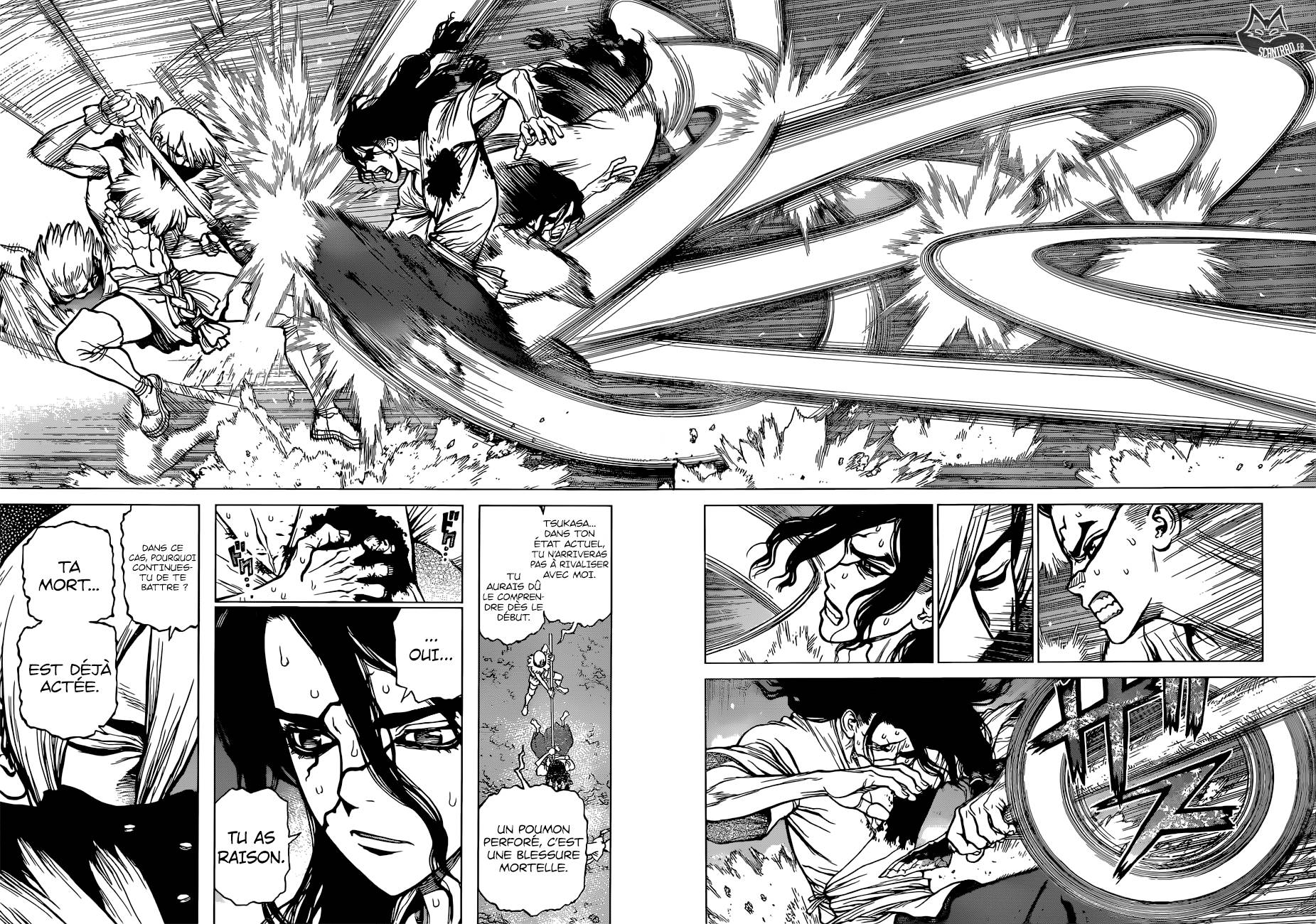 Scan Dr Stone 81 Page 11