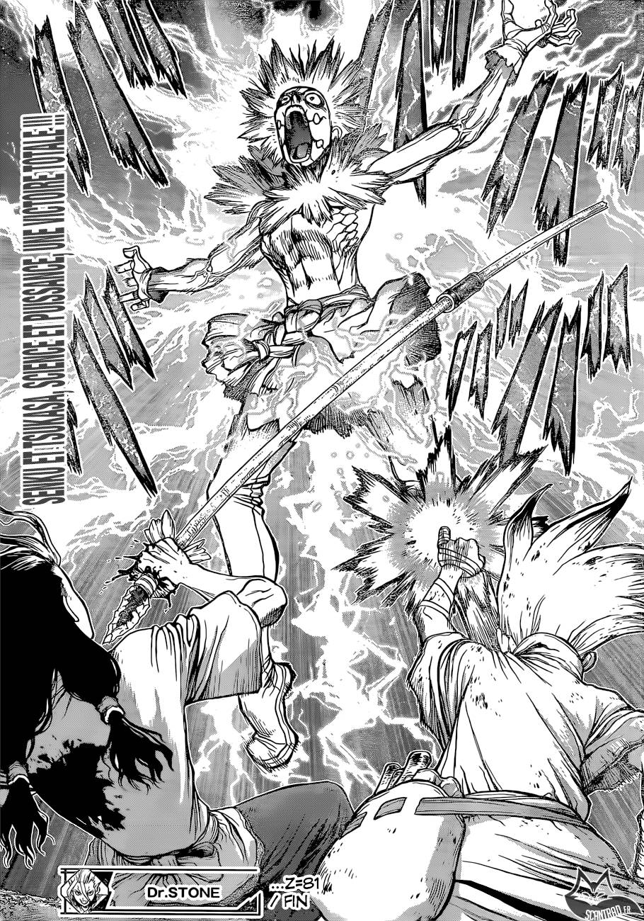 lecture en ligne Dr Stone 81 page 17