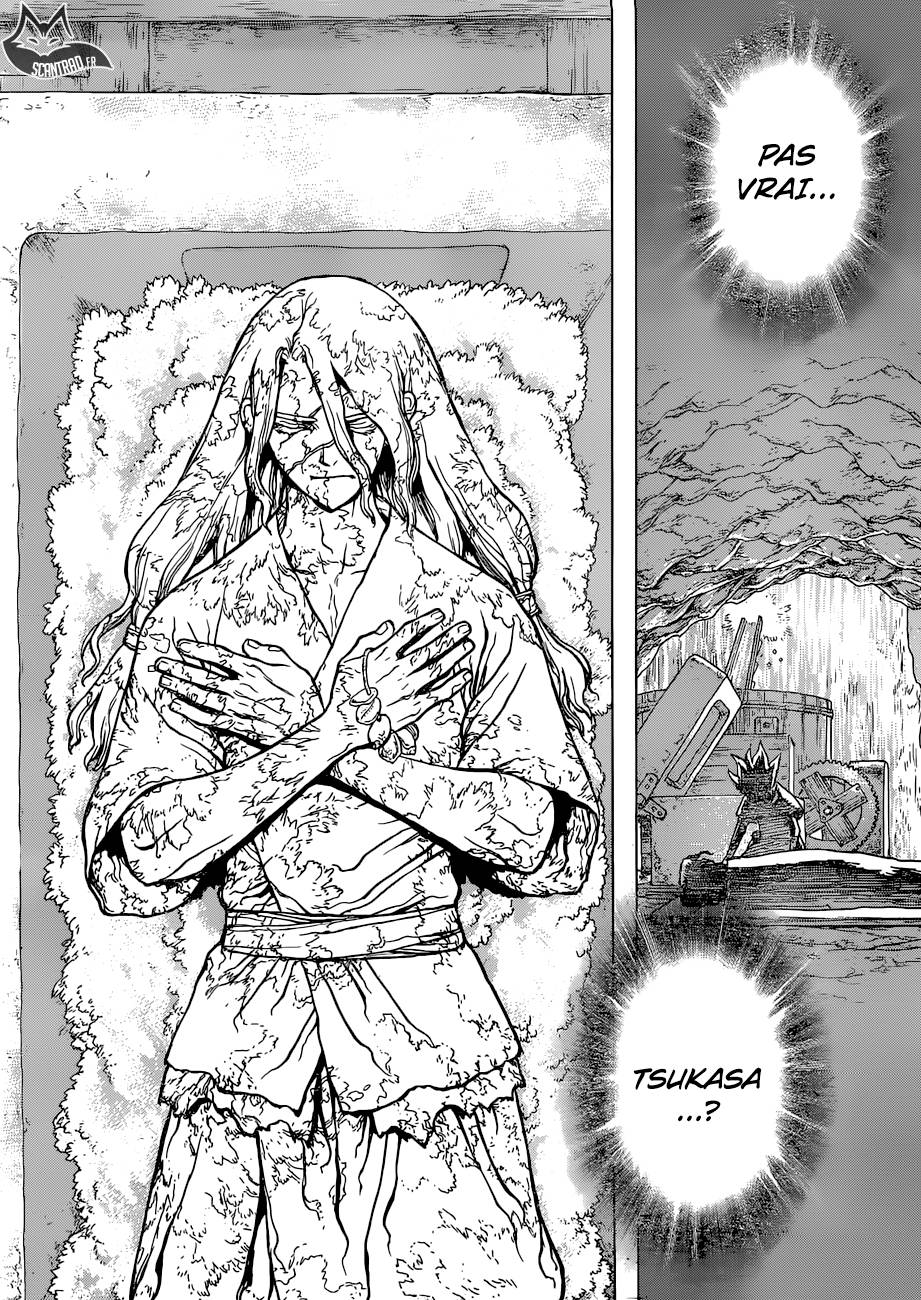 Lecture en ligne Dr Stone 83 page 20