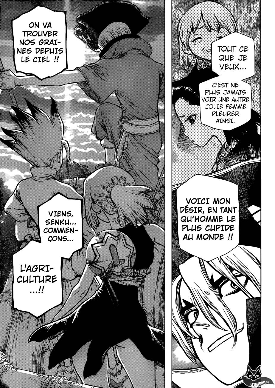 Lecture en ligne Dr Stone 90 page 15