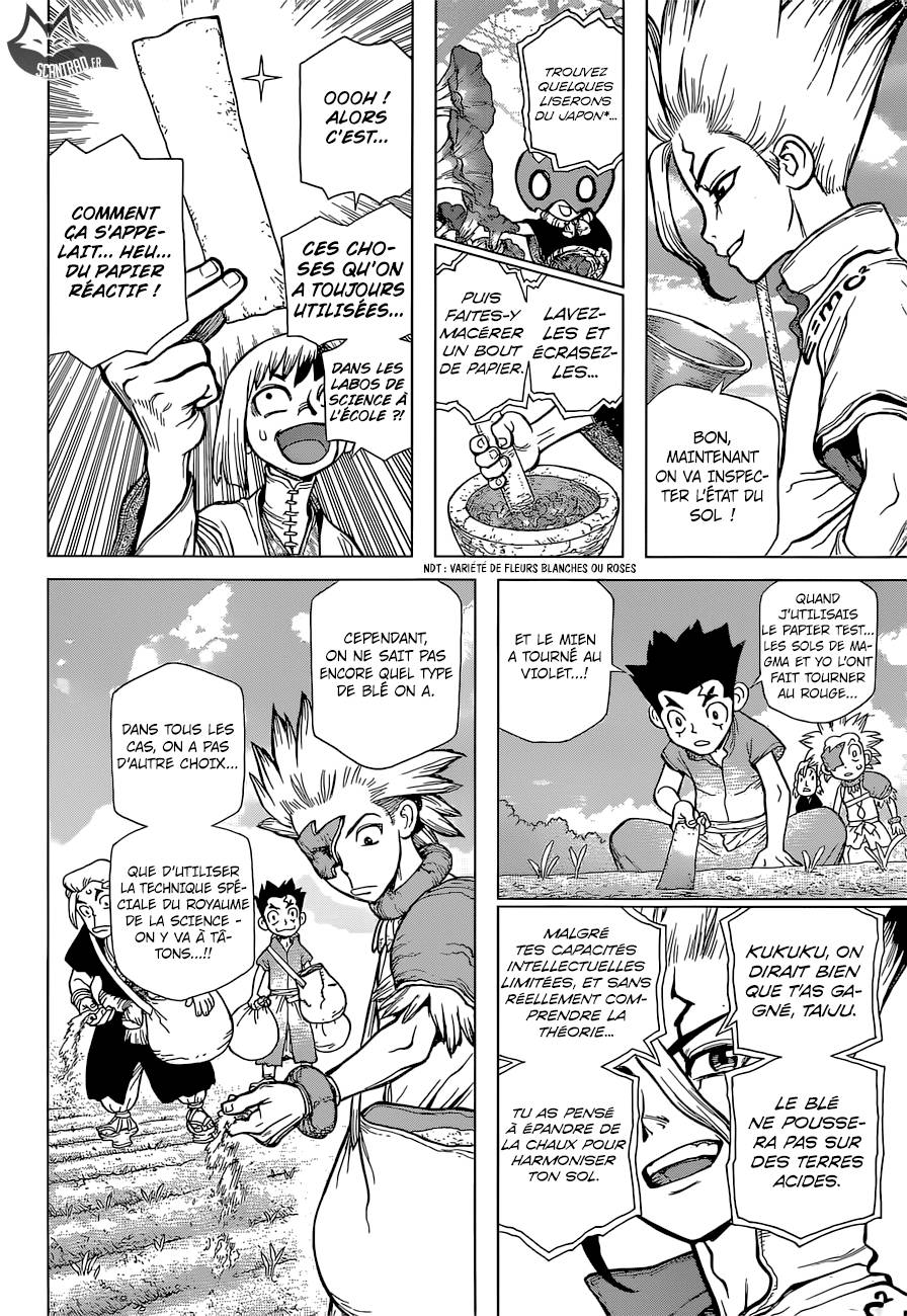 Lecture en ligne Dr Stone 91 page 14