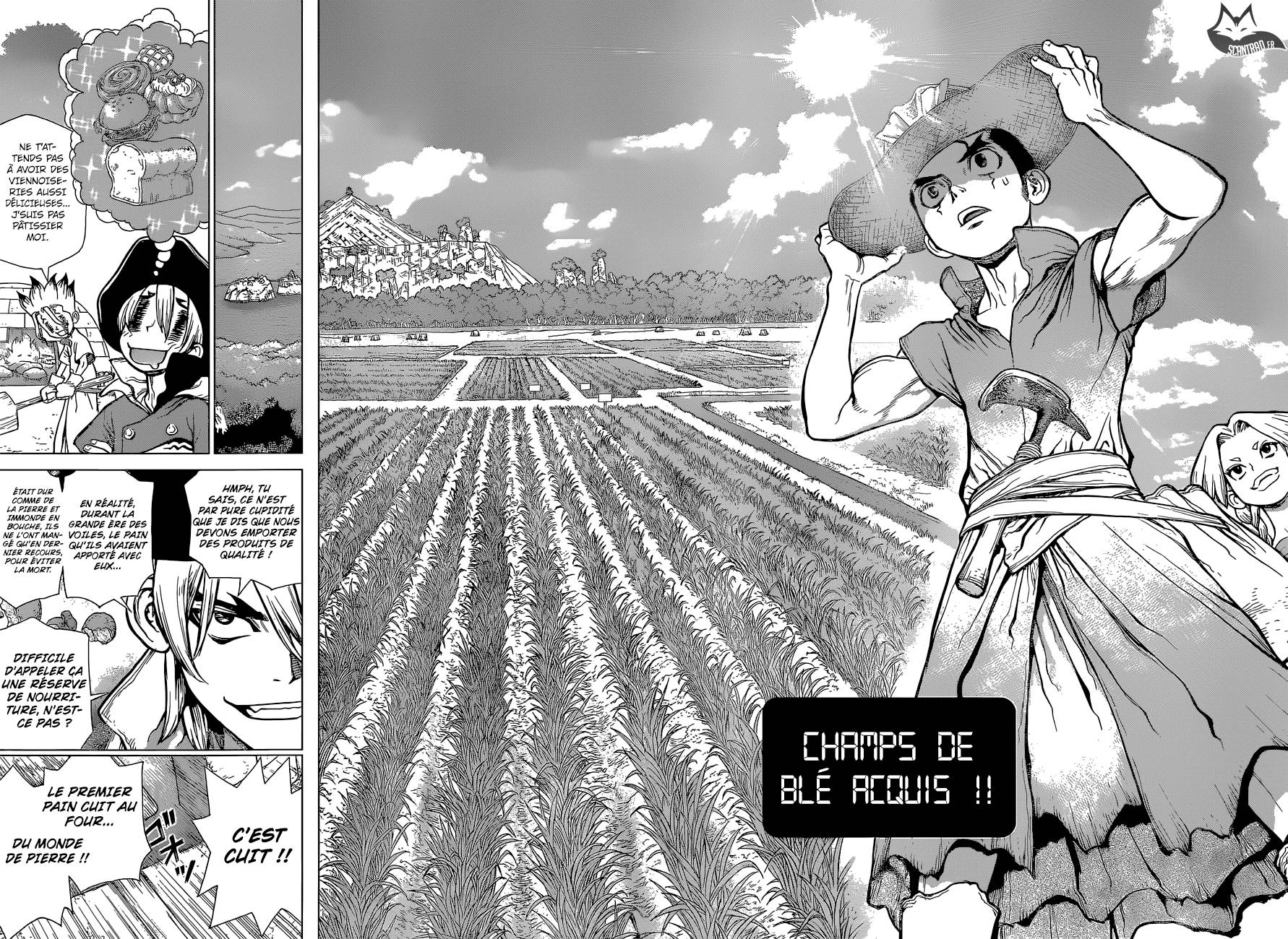 Lecture en ligne Dr Stone 91 page 16