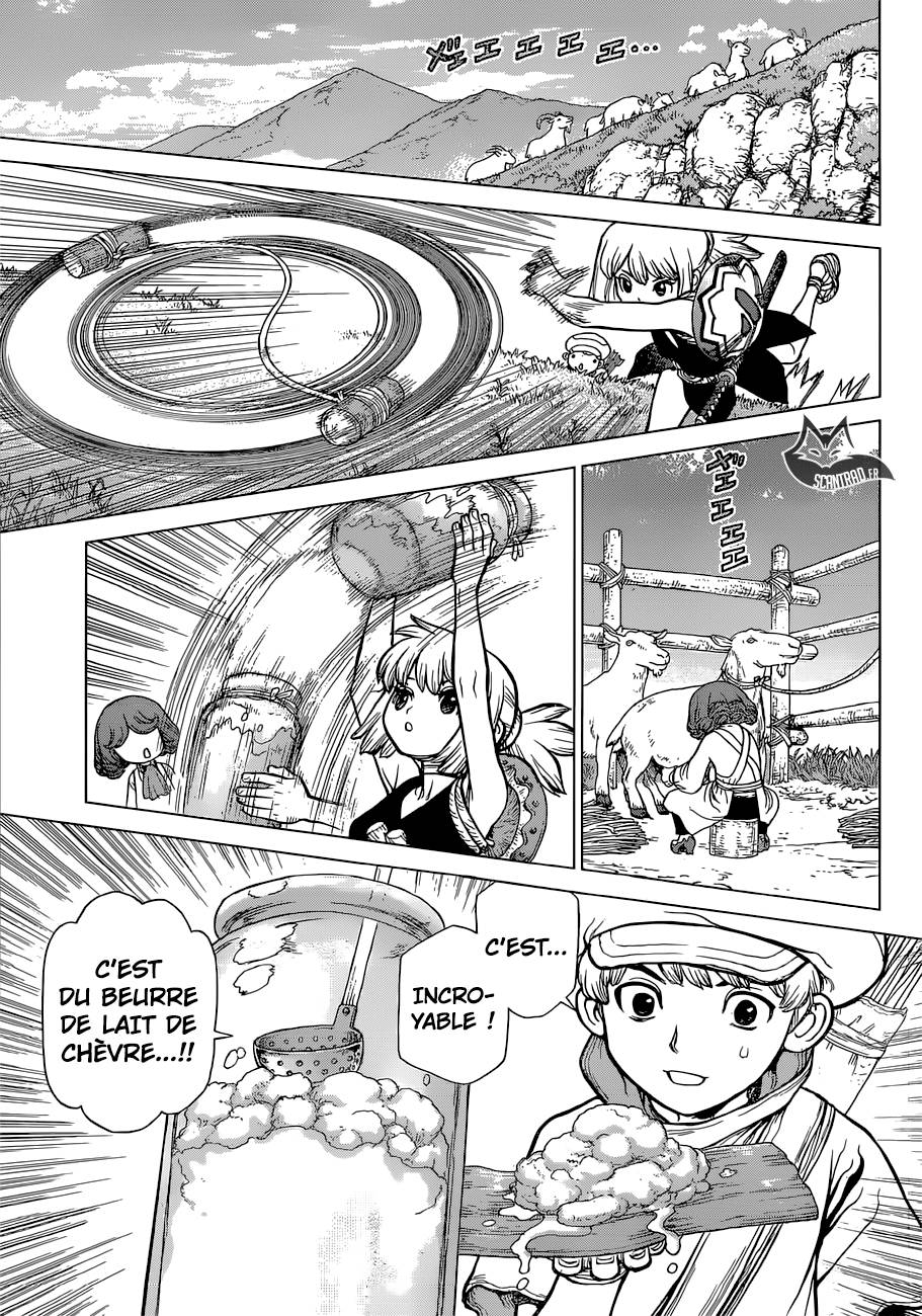 Lecture en ligne Dr Stone 92 page 14