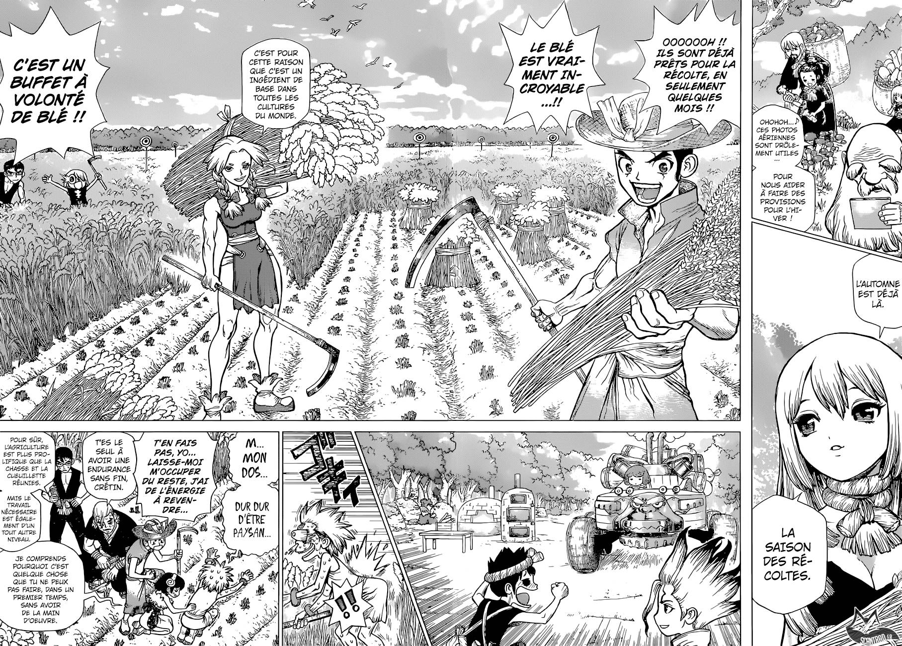 Lecture en ligne Dr Stone 94 page 4