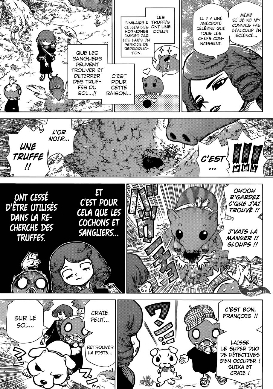 Lecture en ligne Dr Stone 94 page 13