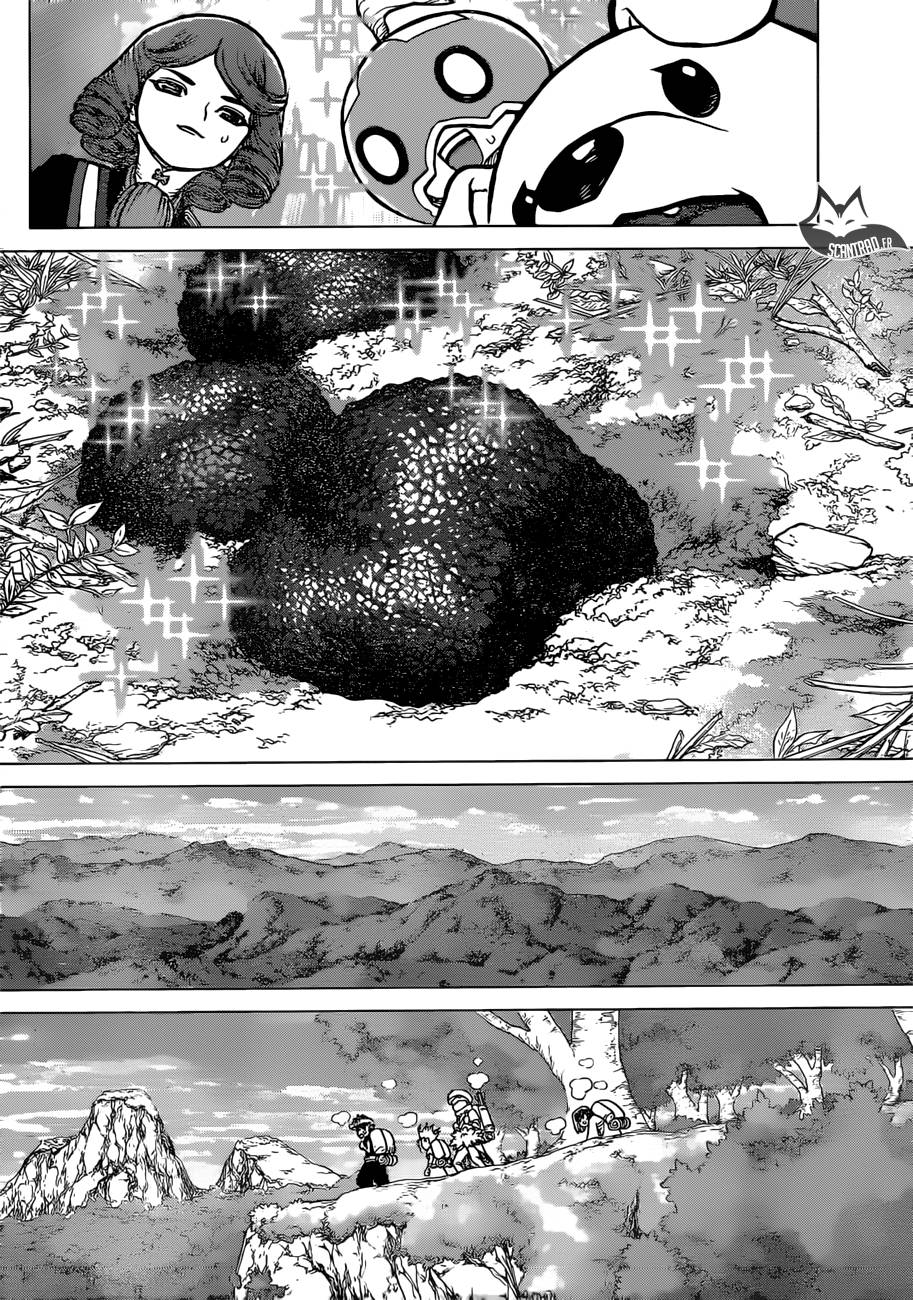 Lecture en ligne Dr Stone 94 page 14