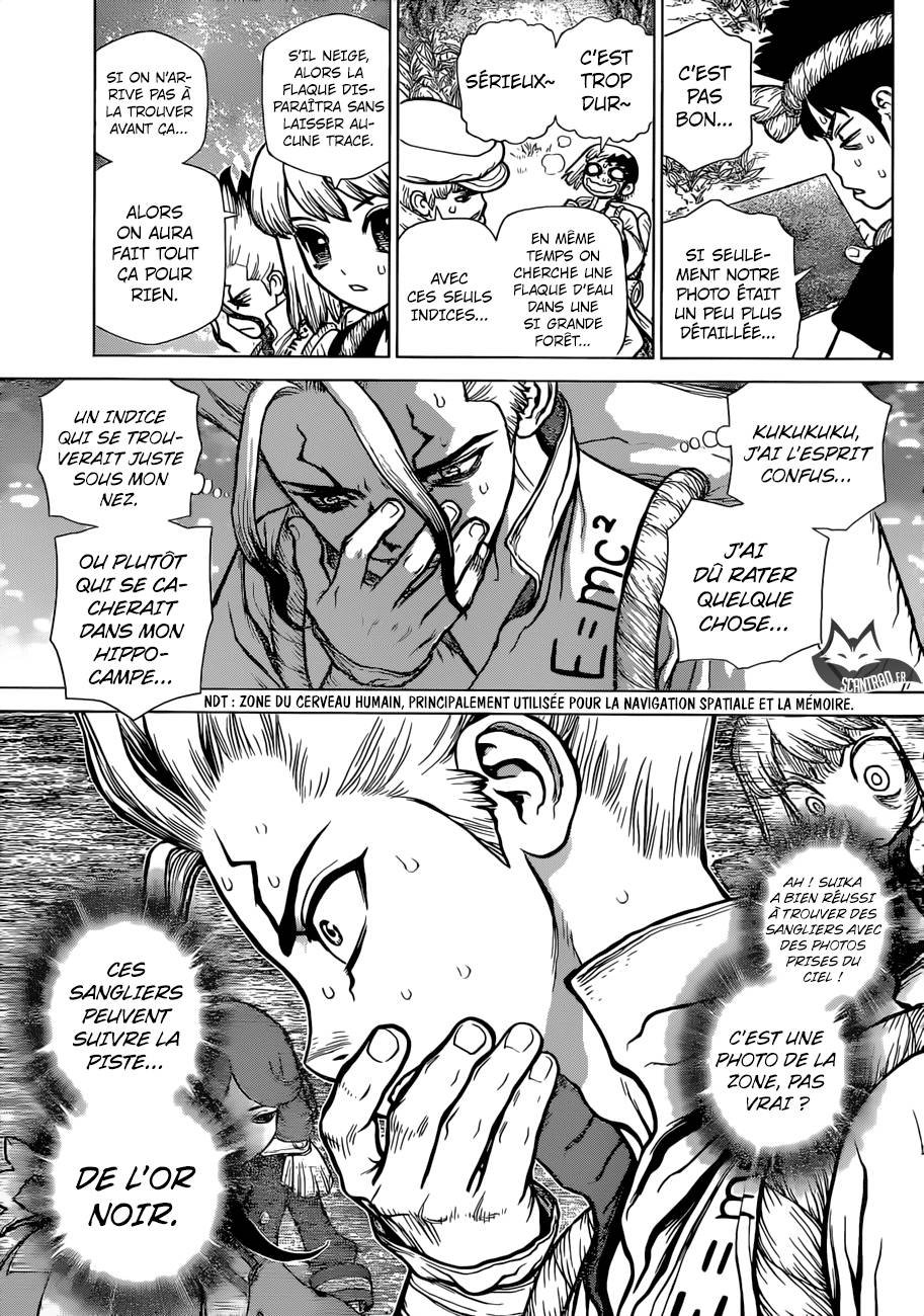 Lecture en ligne Dr Stone 94 page 15
