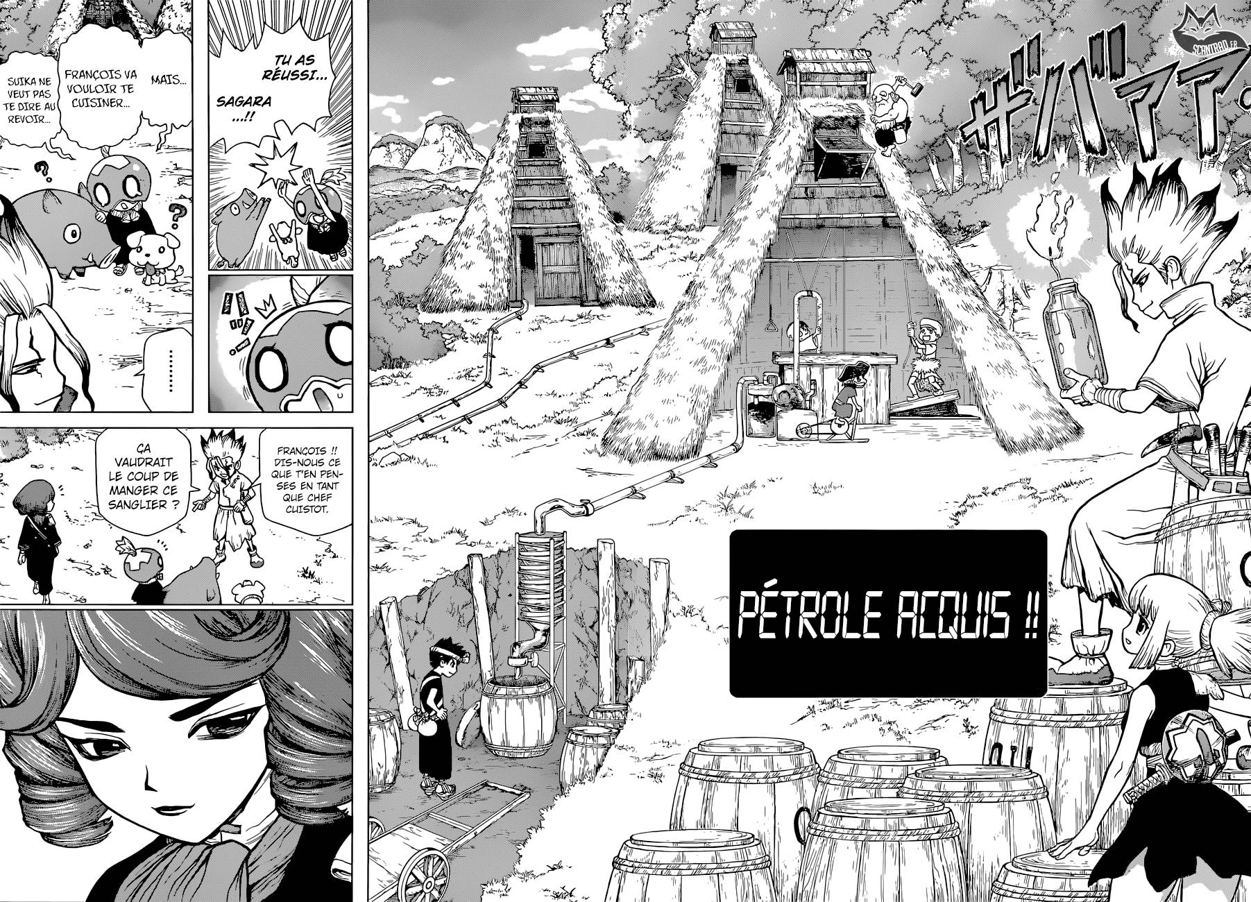 Lecture en ligne Dr Stone 95 page 8