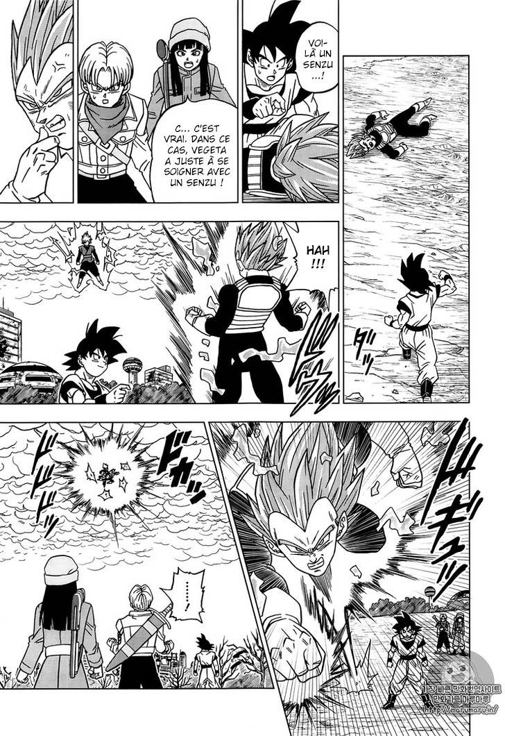 Lecture en ligne Dragon Ball Super 20 page 15