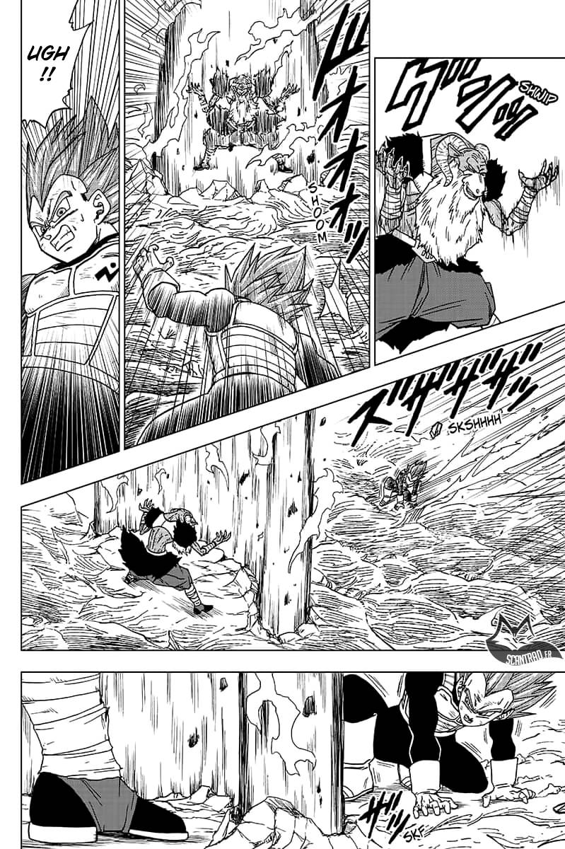 Lecture en ligne Dragon Ball Super 45 page 13