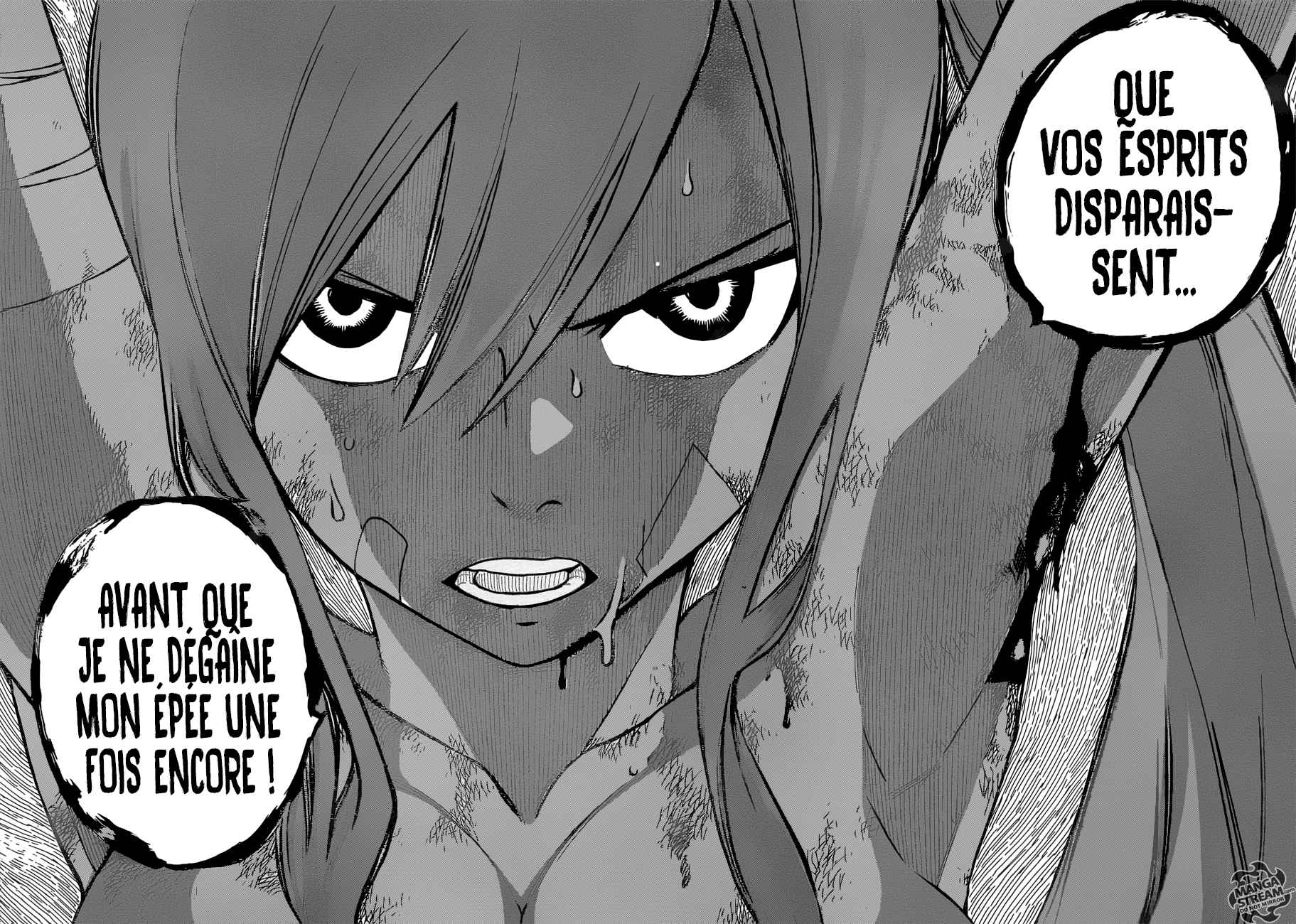 Lecture en ligne Fairy Tail 482 page 17