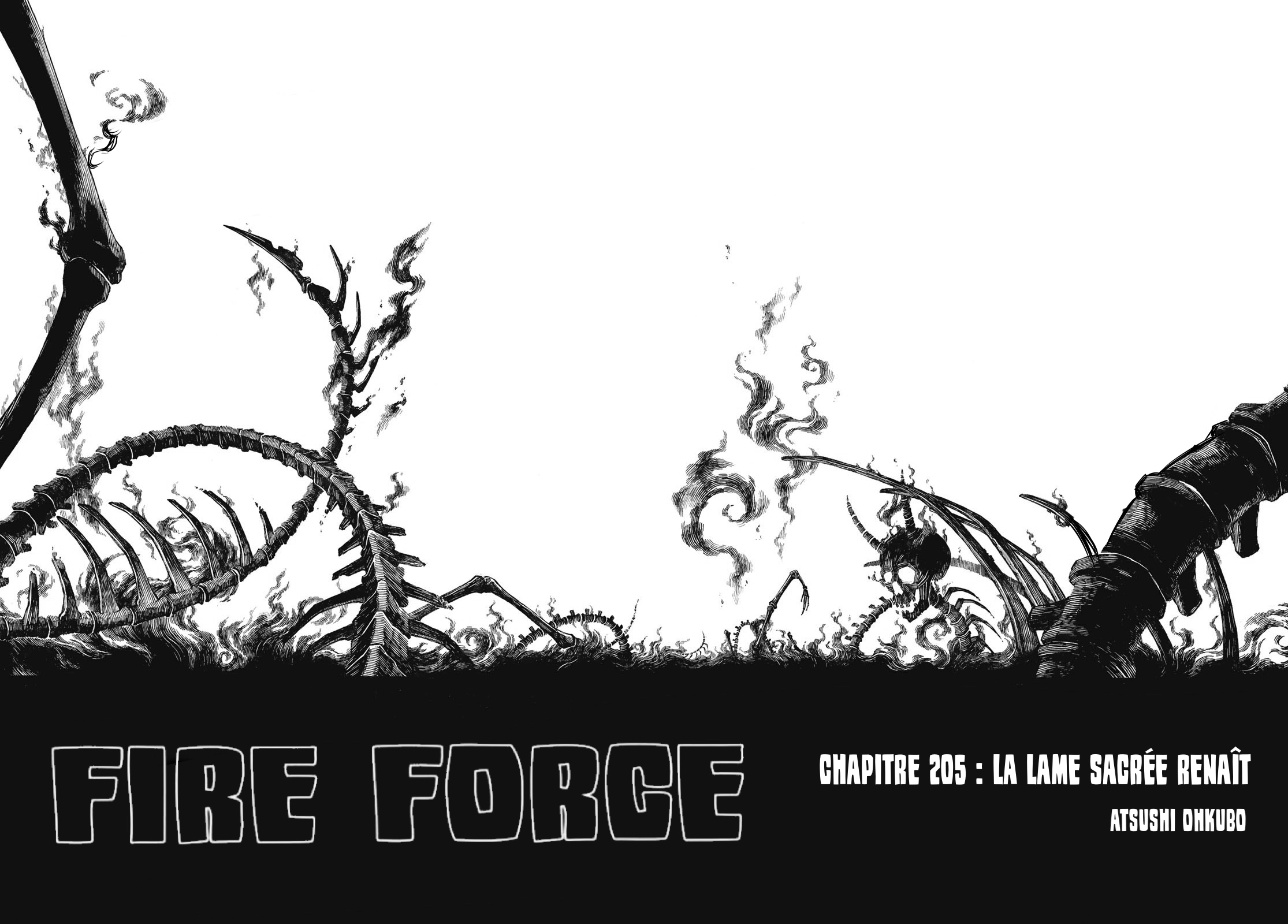 Lecture en ligne Fire Force 205 page 2