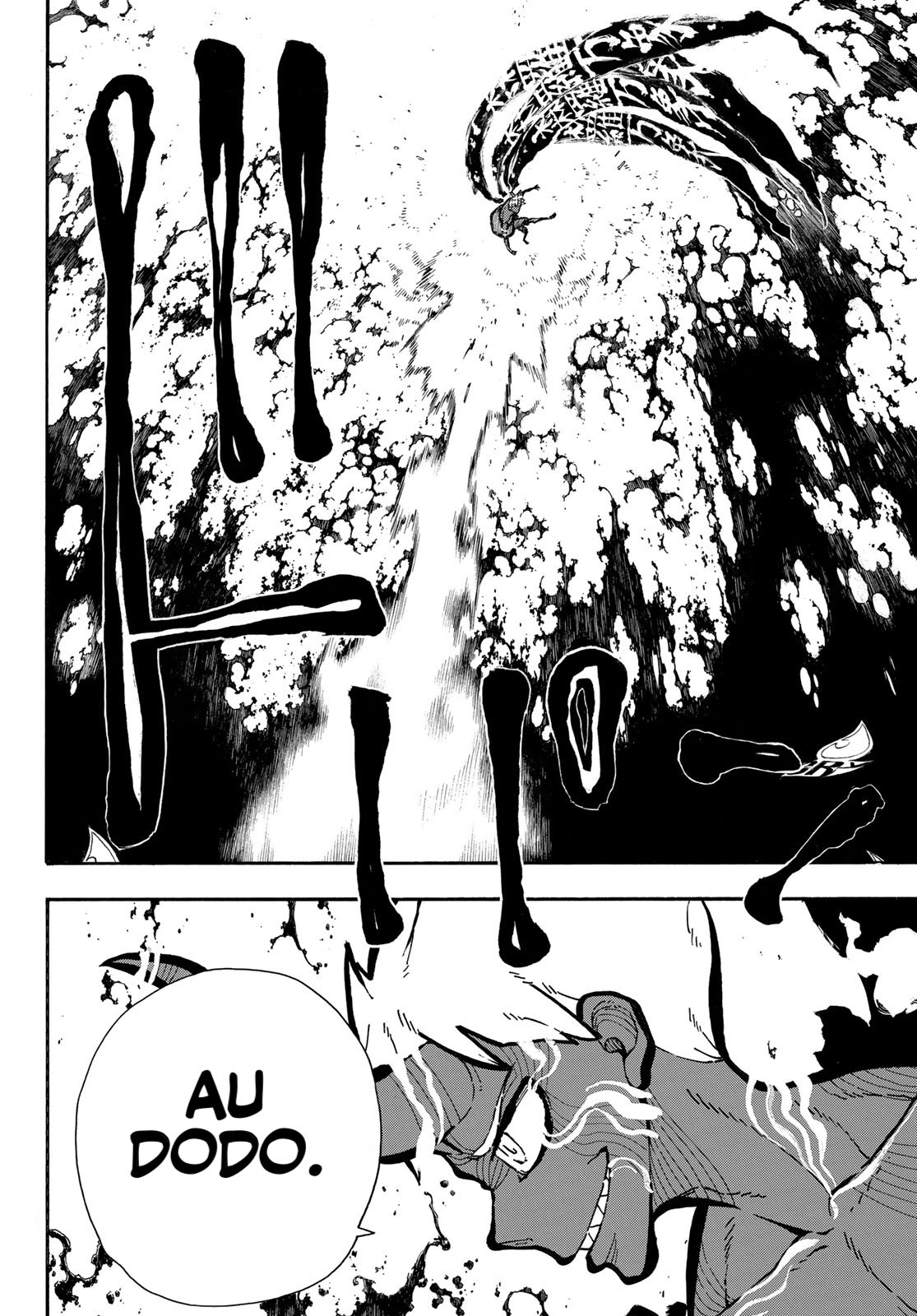 Lecture en ligne Fire Force 301 page 13