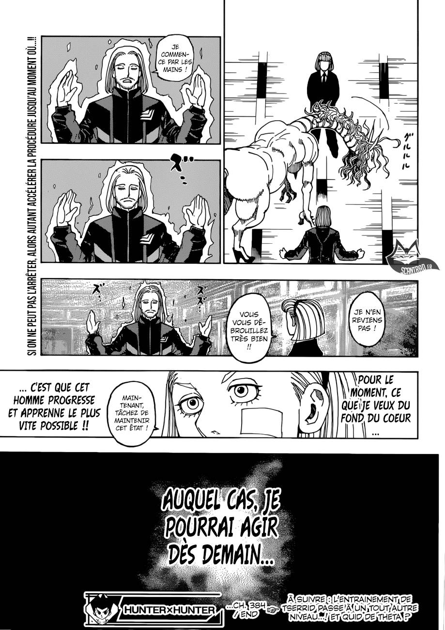 lecture en ligne Hunter X Hunter 384 page 17
