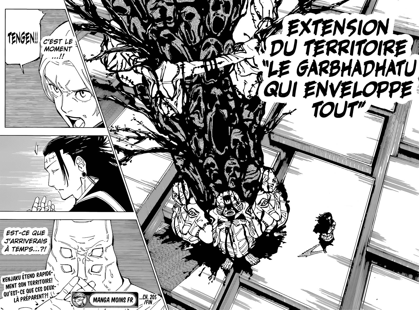lecture en ligne Jujutsu Kaisen 205 page 16