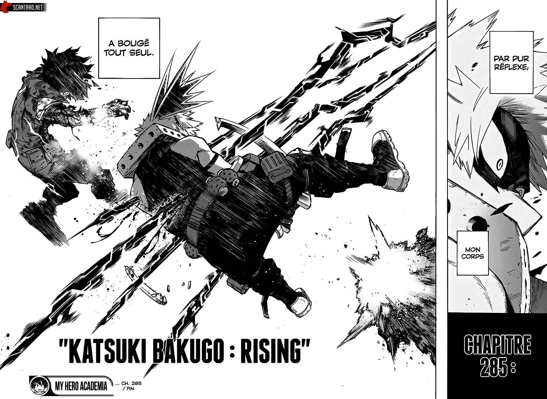 lecture en ligne My Hero Academia 285 page 17
