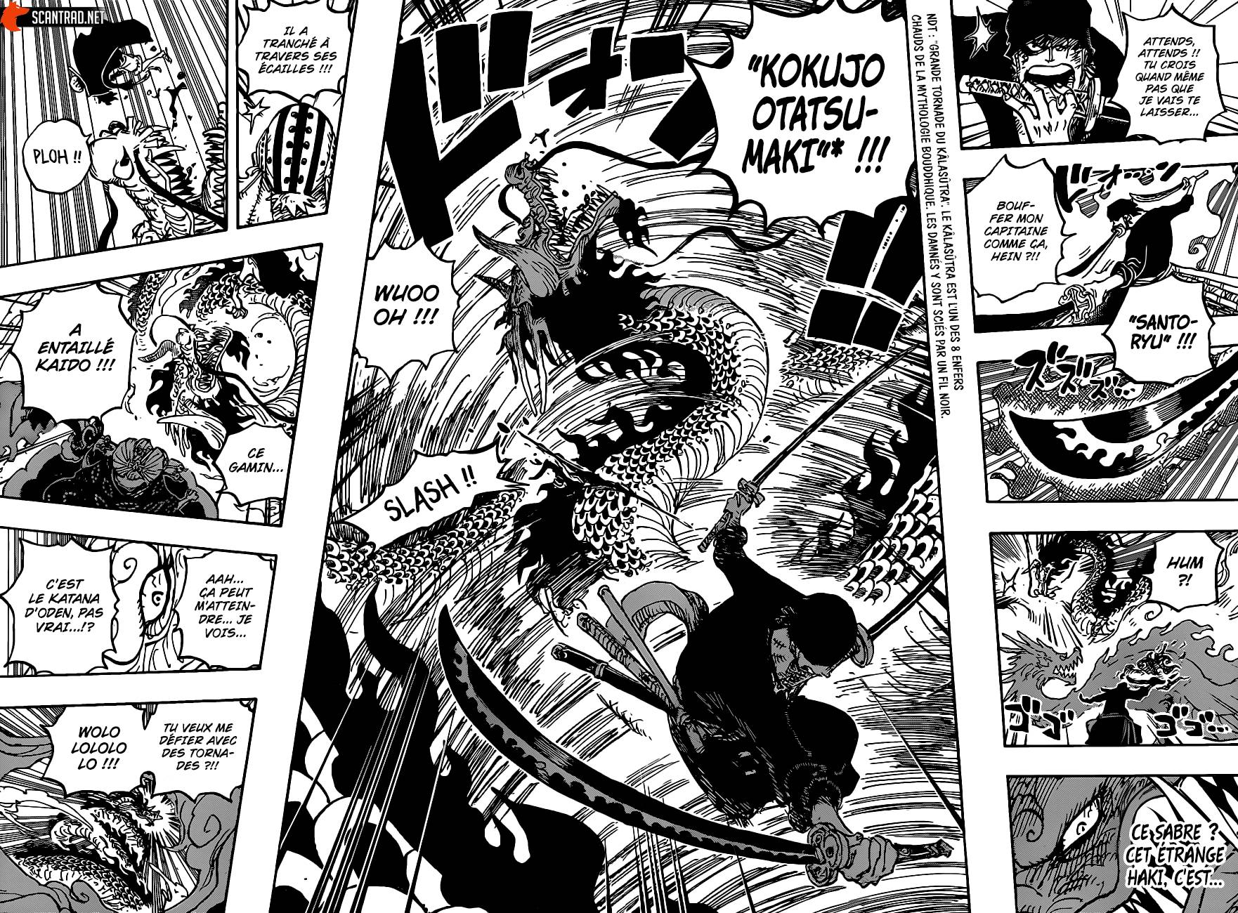 Lecture en ligne One Piece 1003 page 9