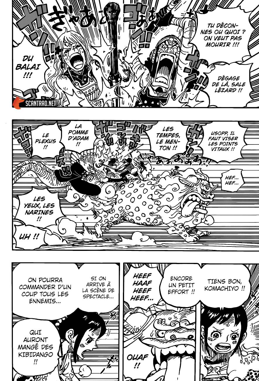 Lecture en ligne One Piece 1011 page 13