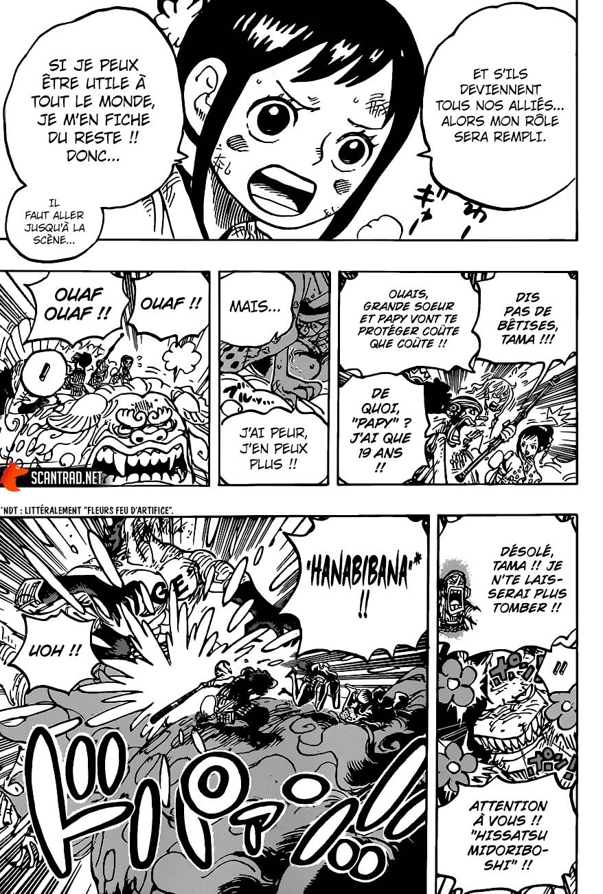 Lecture en ligne One Piece 1011 page 14