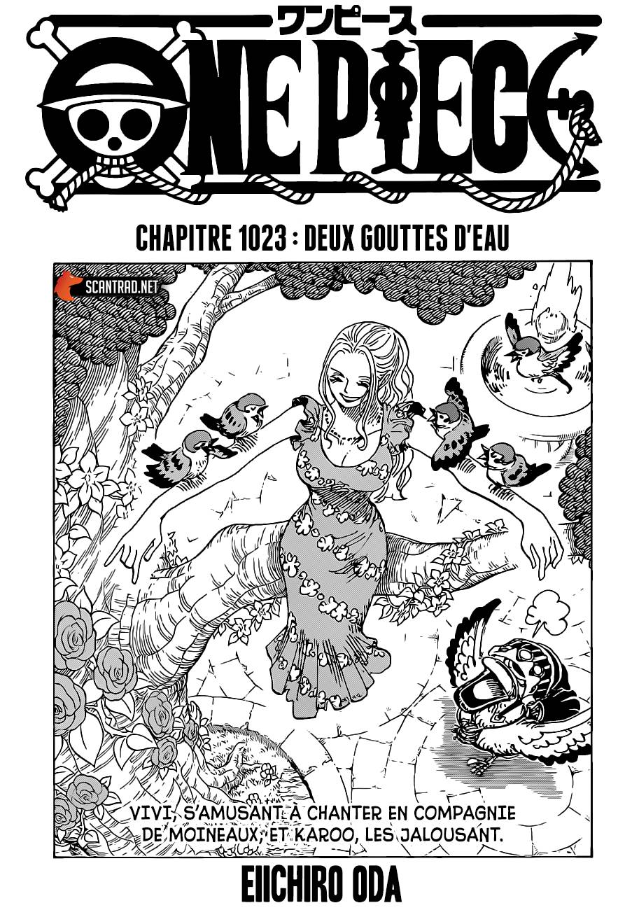 Lecture en ligne One Piece 1023 page 2