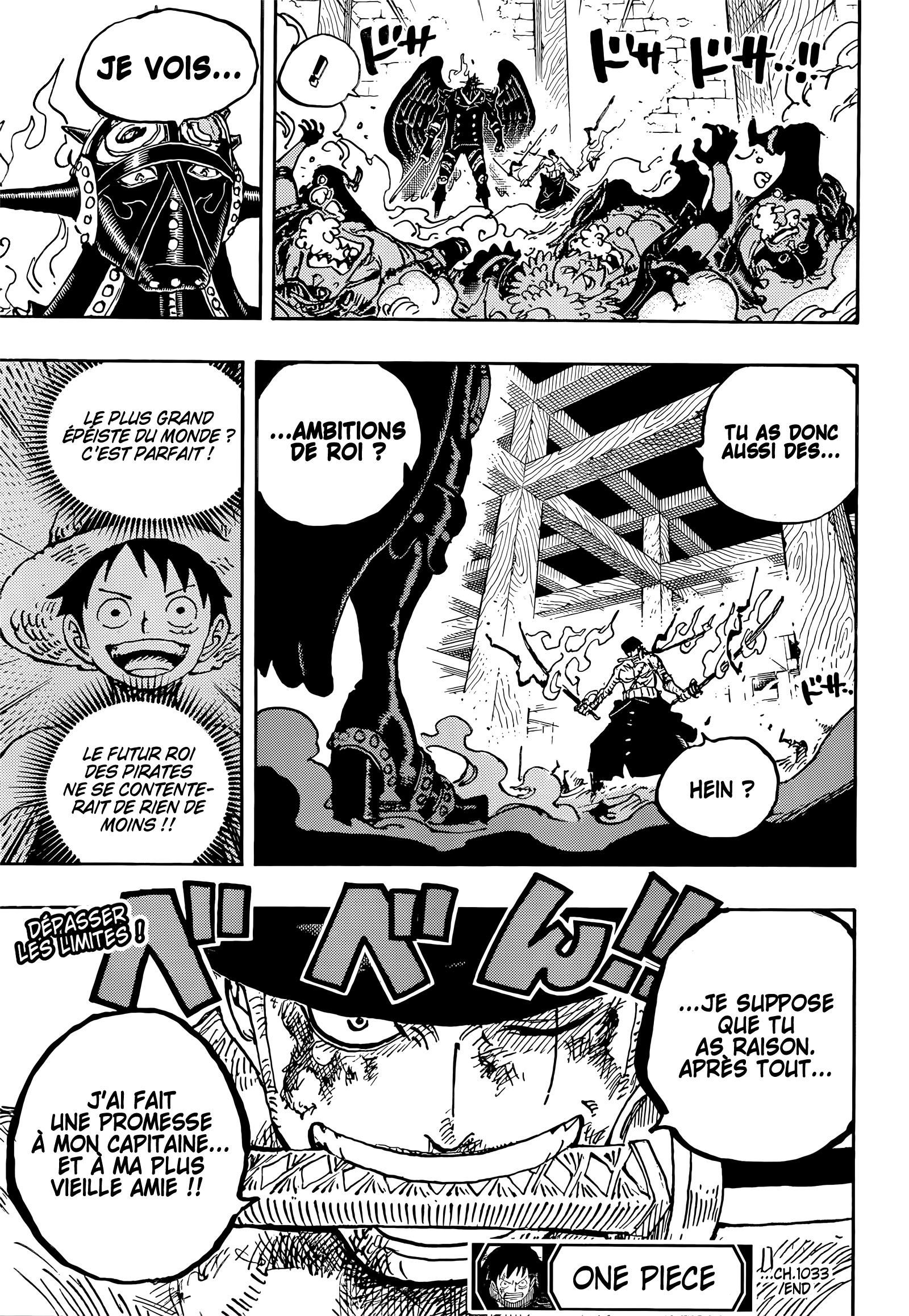 lecture en ligne One Piece 1033 page 17