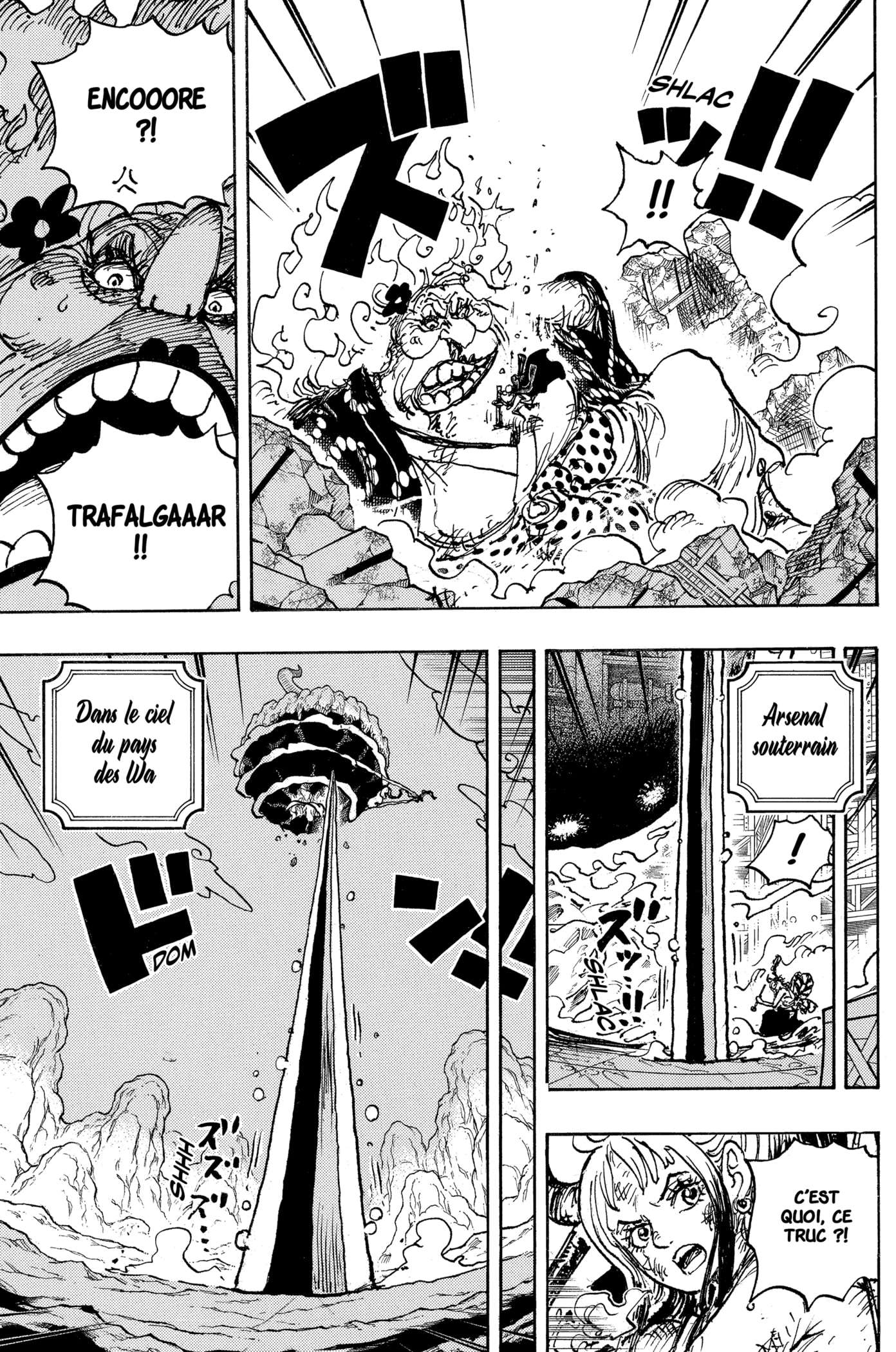 Lecture en ligne One Piece 1039 page 13