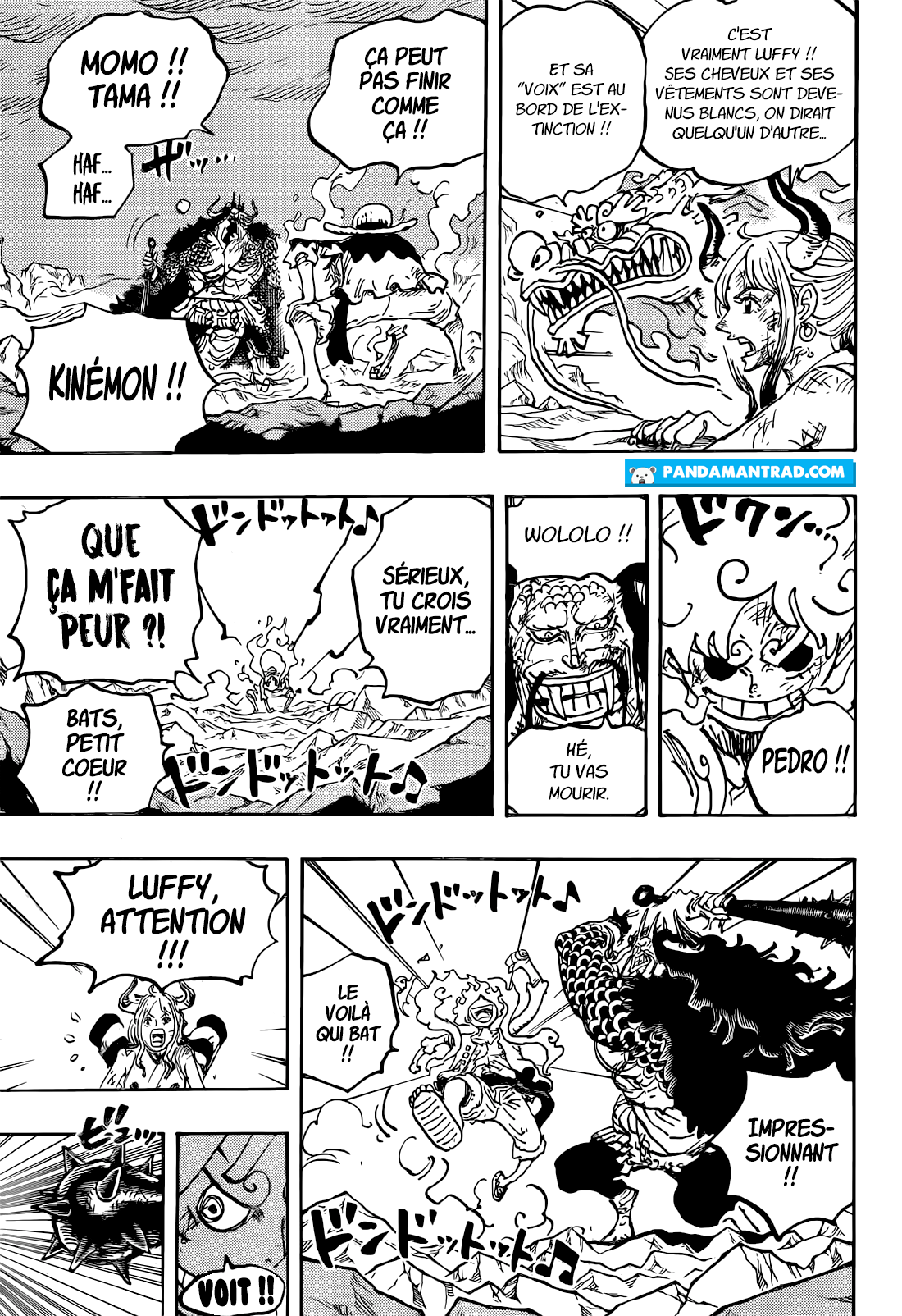 Lecture en ligne One Piece 1045 page 14
