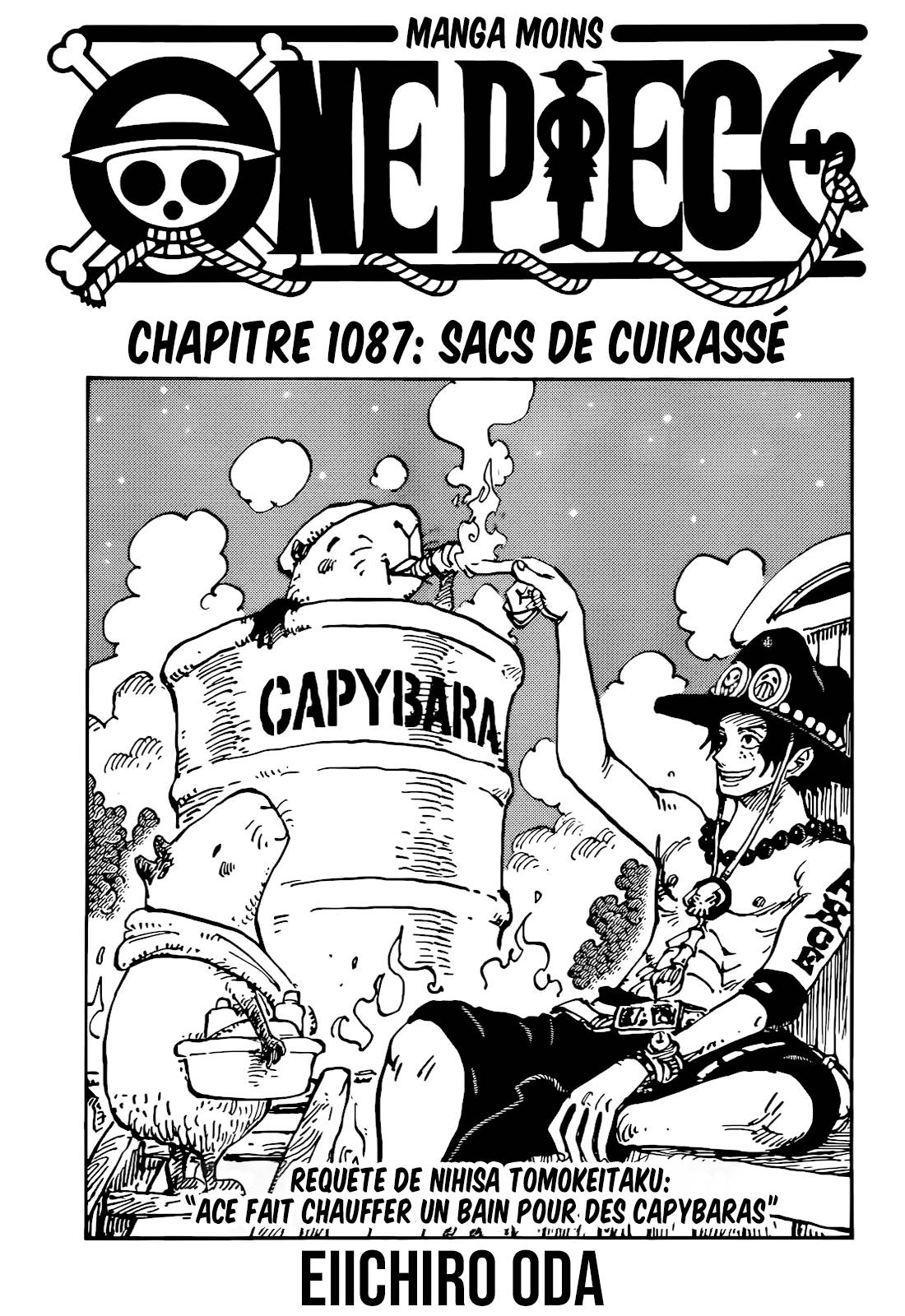 Lecture en ligne One Piece 1087 page 1