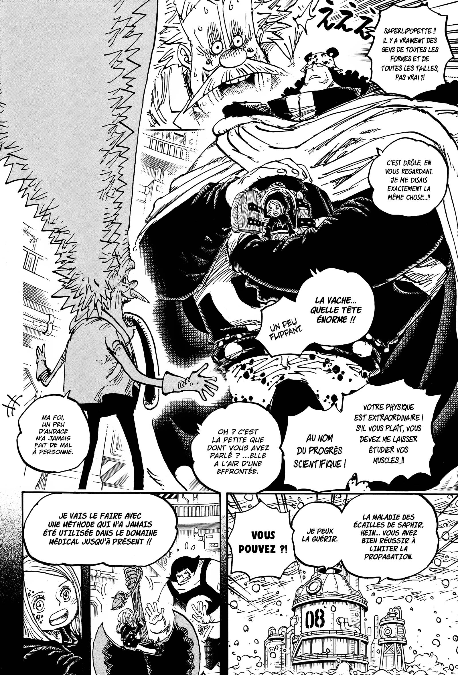 Lecture en ligne One Piece 1099 page 13