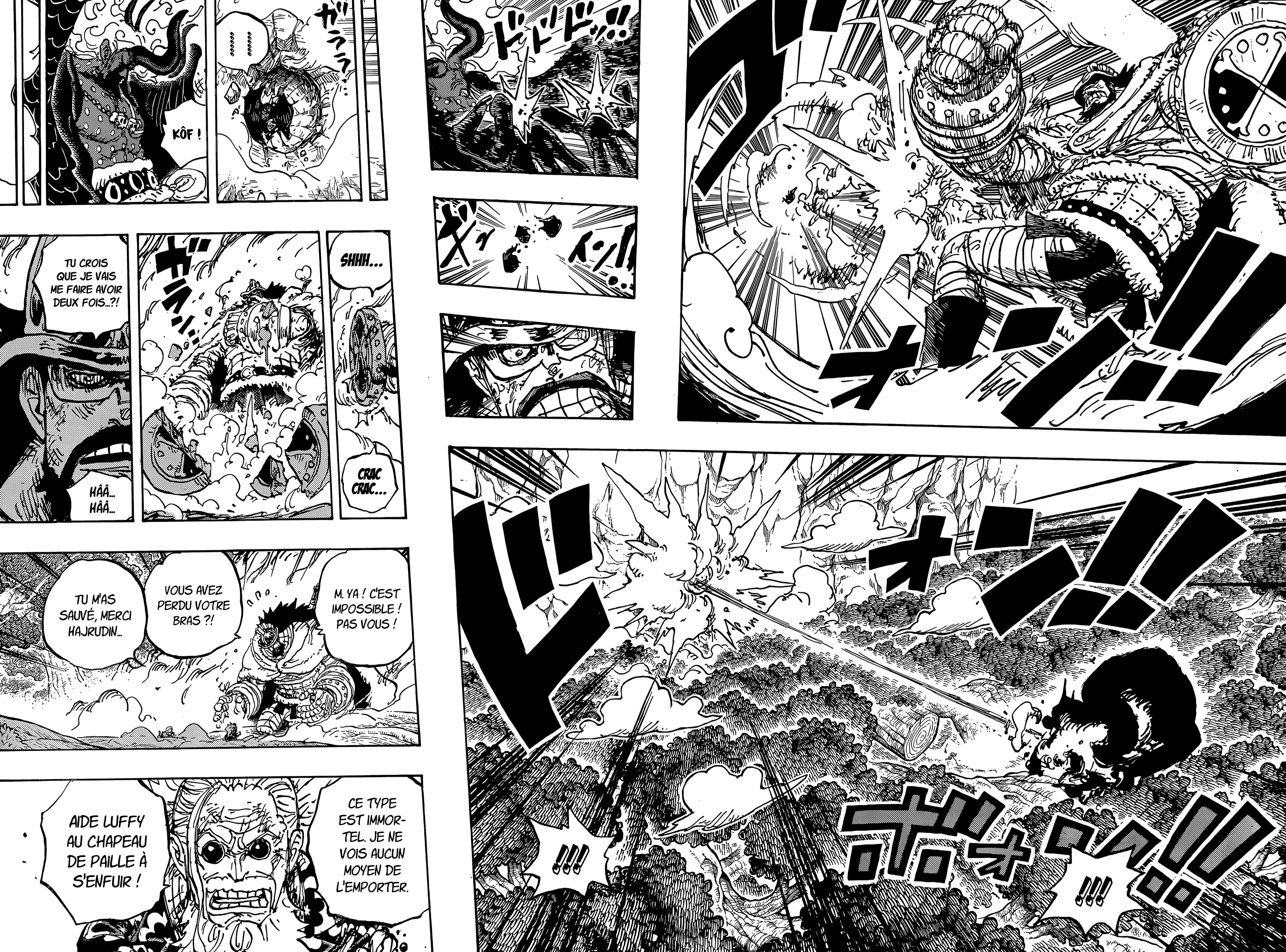 Lecture en ligne One Piece 1191 page 12