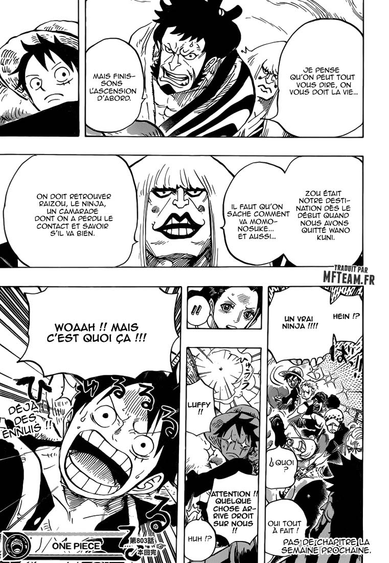 Lecture en ligne One Piece 803 page 14