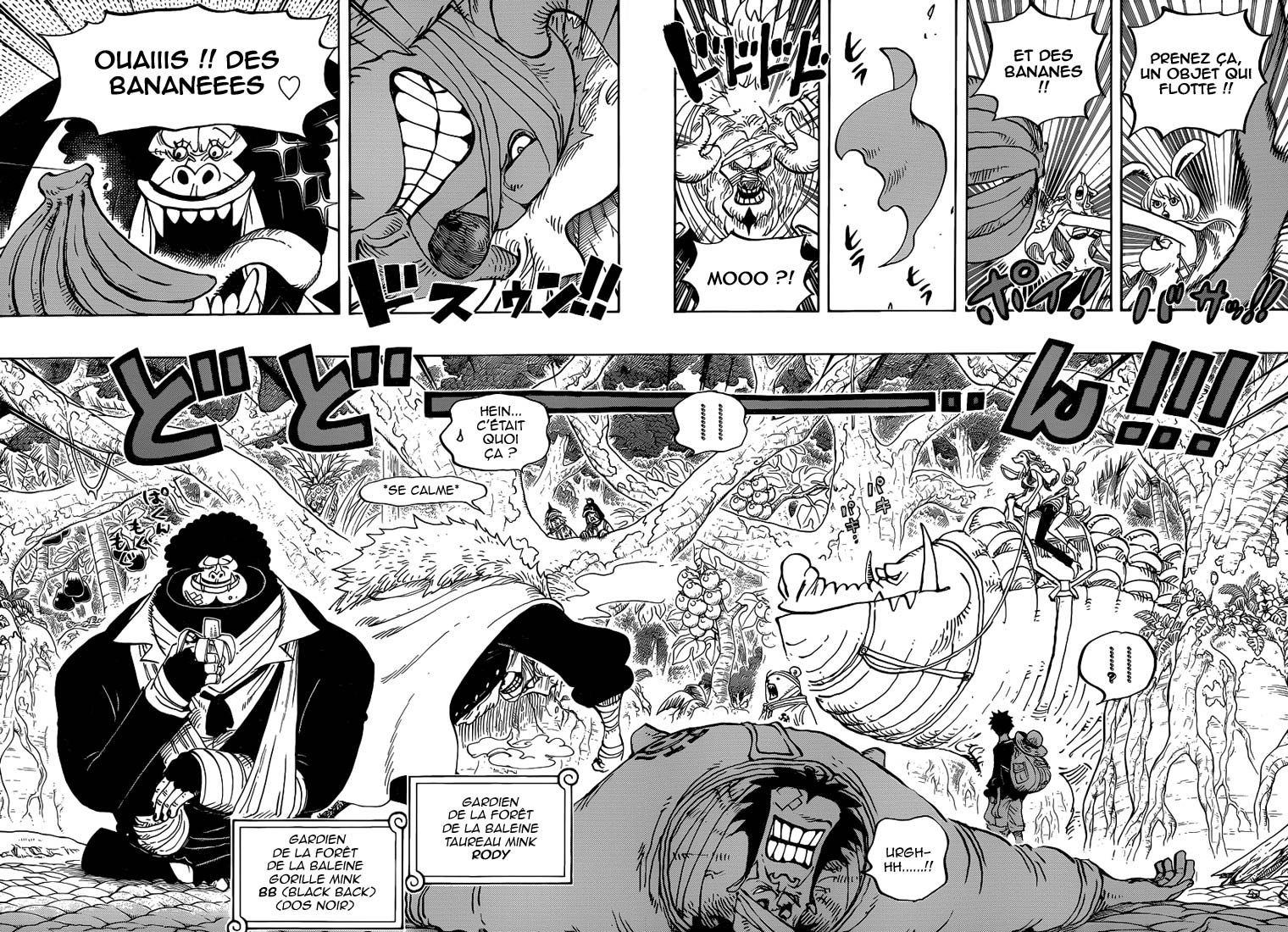 Lecture en ligne One Piece 805 page 11