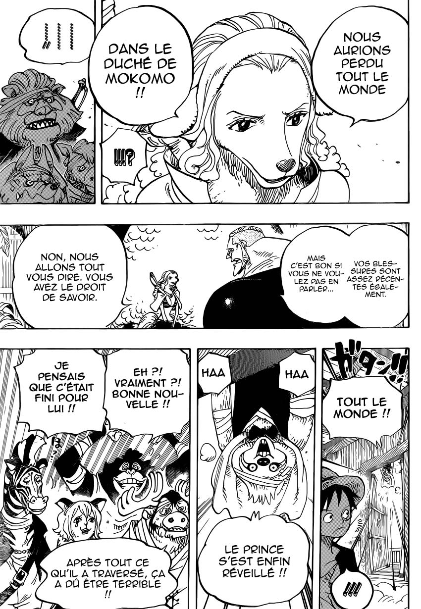 Lecture en ligne One Piece 807 page 13