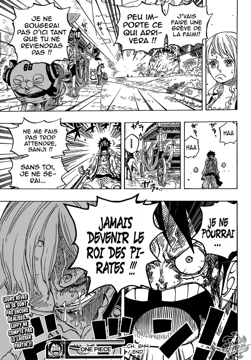 Lecture en ligne One Piece 844 page 17
