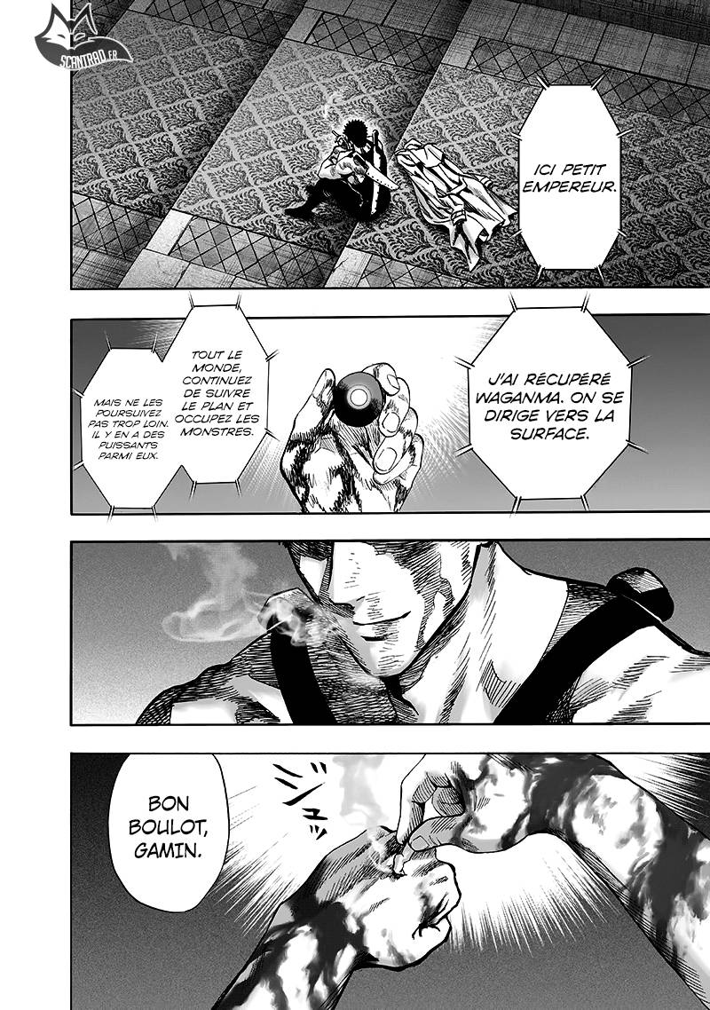 Lecture en ligne One Punch Man 101 page 47