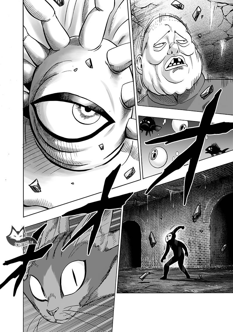 Lecture en ligne One Punch Man 106 page 24