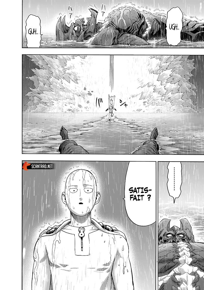 Lecture en ligne One Punch Man 164 page 29